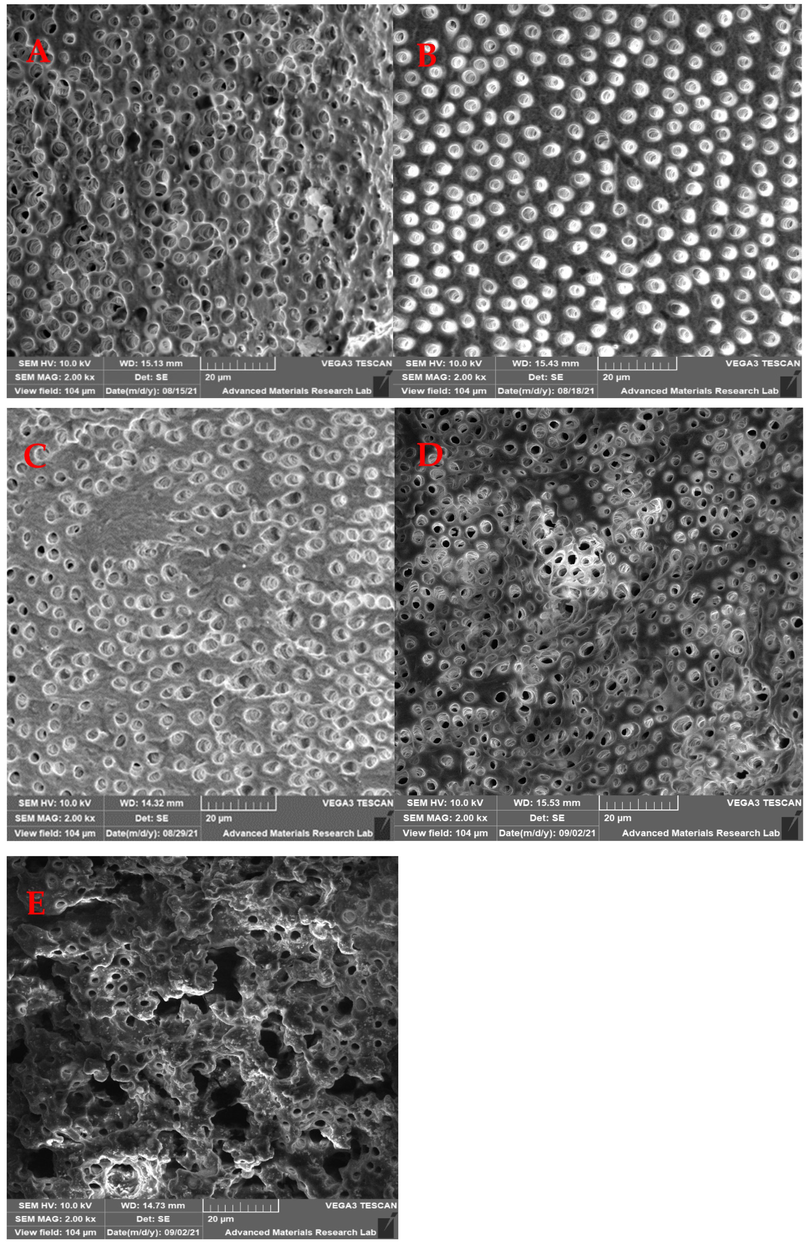 Medicina 59 00433 g002