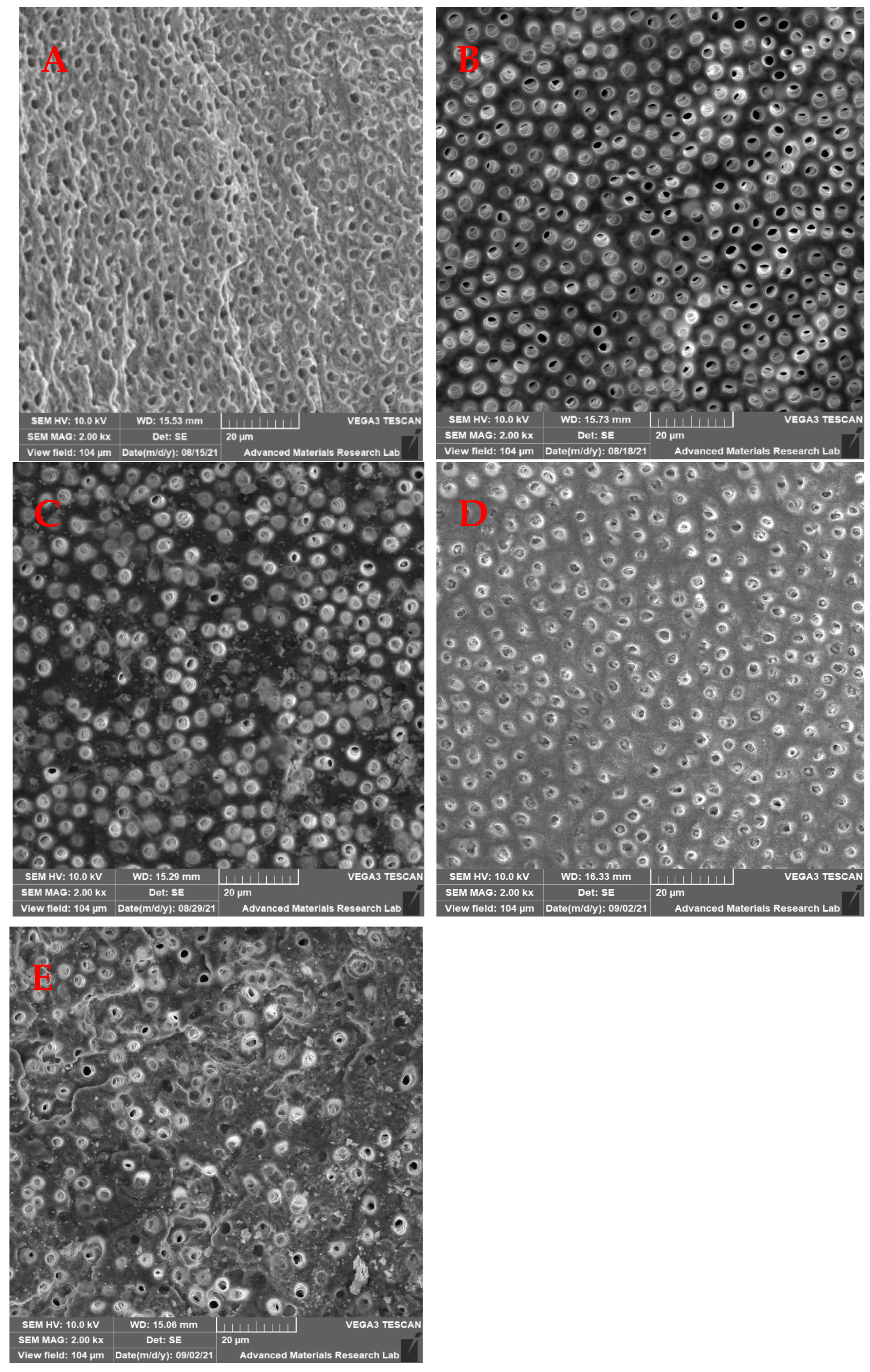 Medicina 59 00433 g003