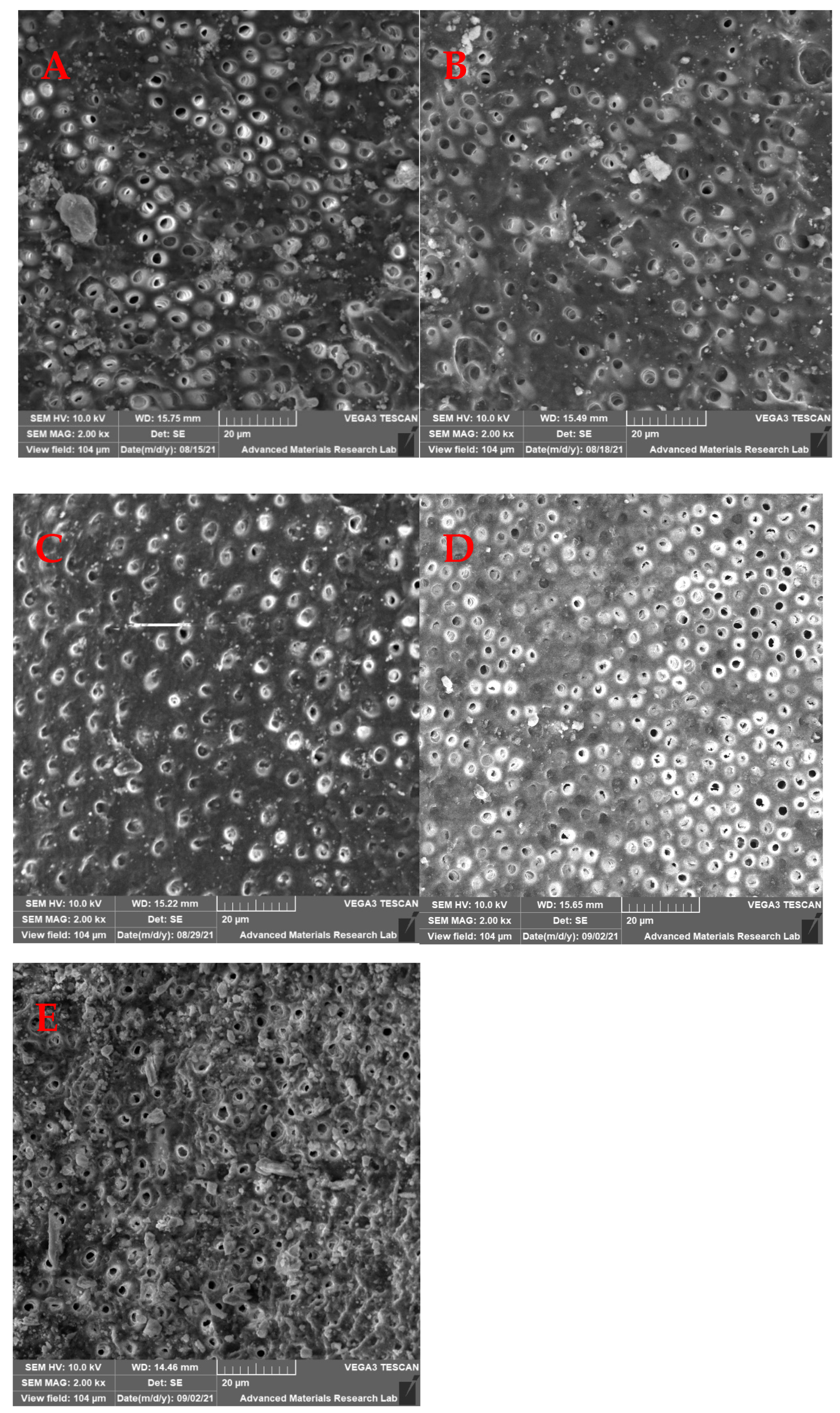 Medicina 59 00433 g004