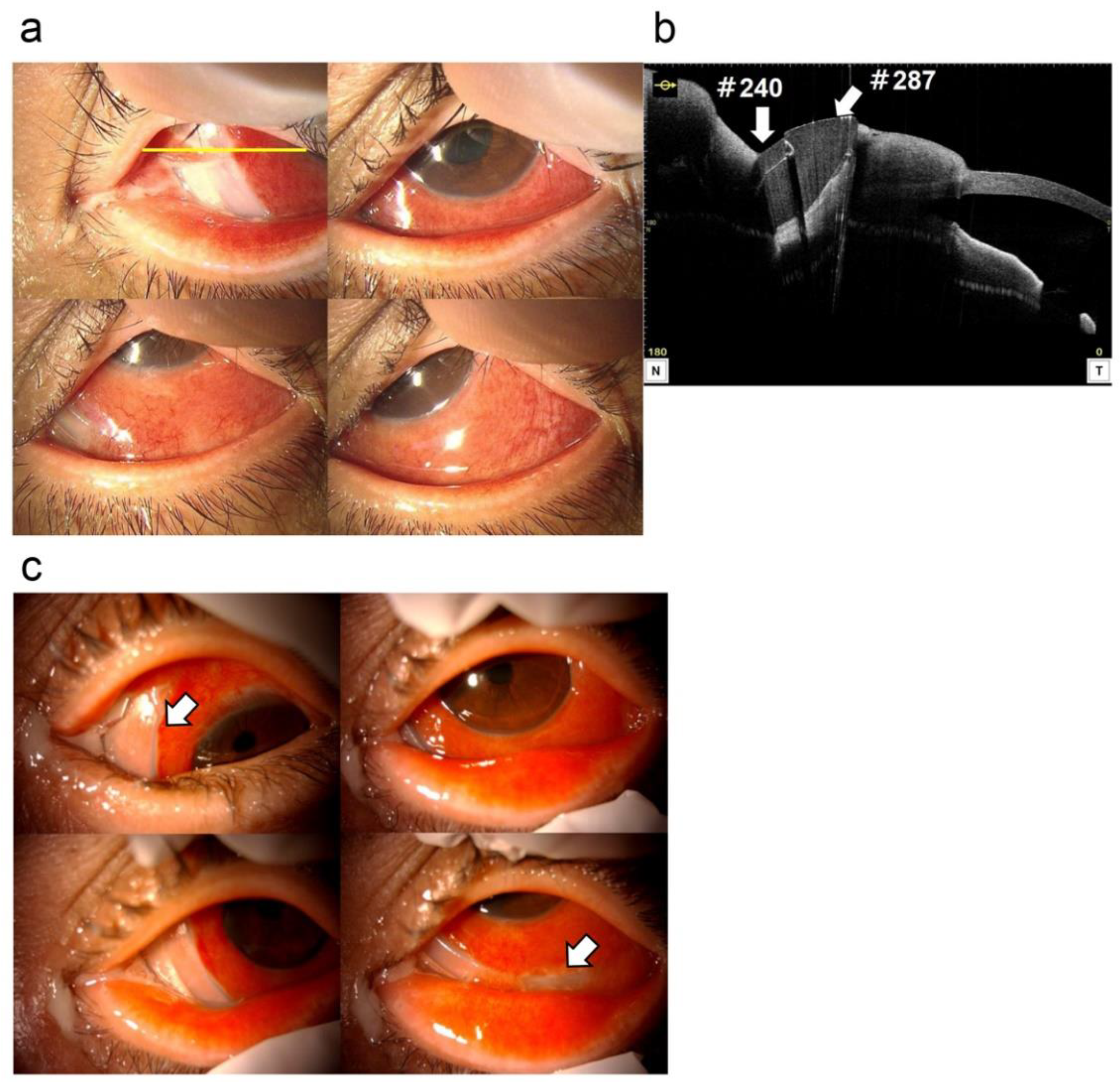 Medicina 59 00449 g001