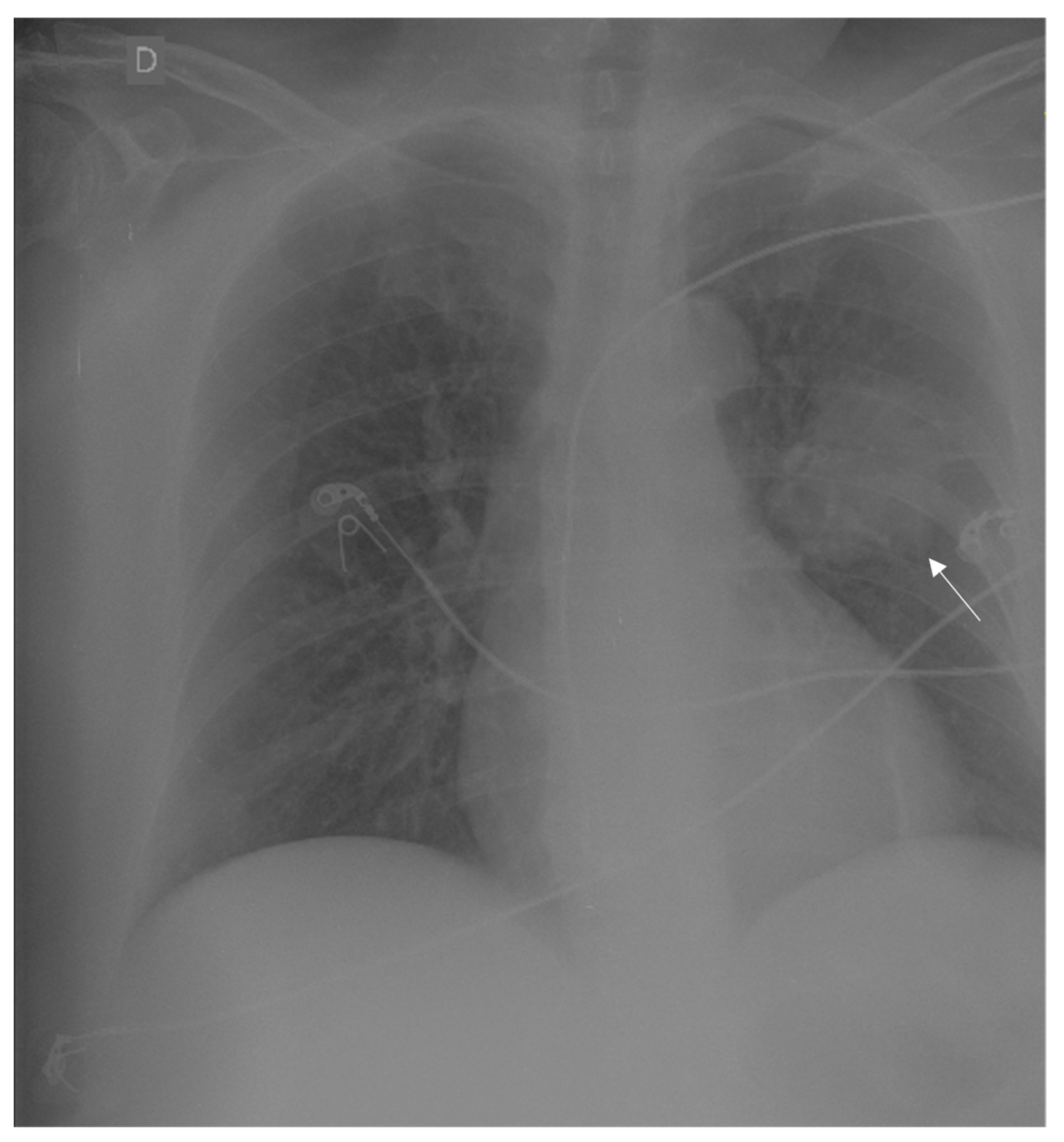 Medicina 59 00459 g001 Medicina 59 00459 g001