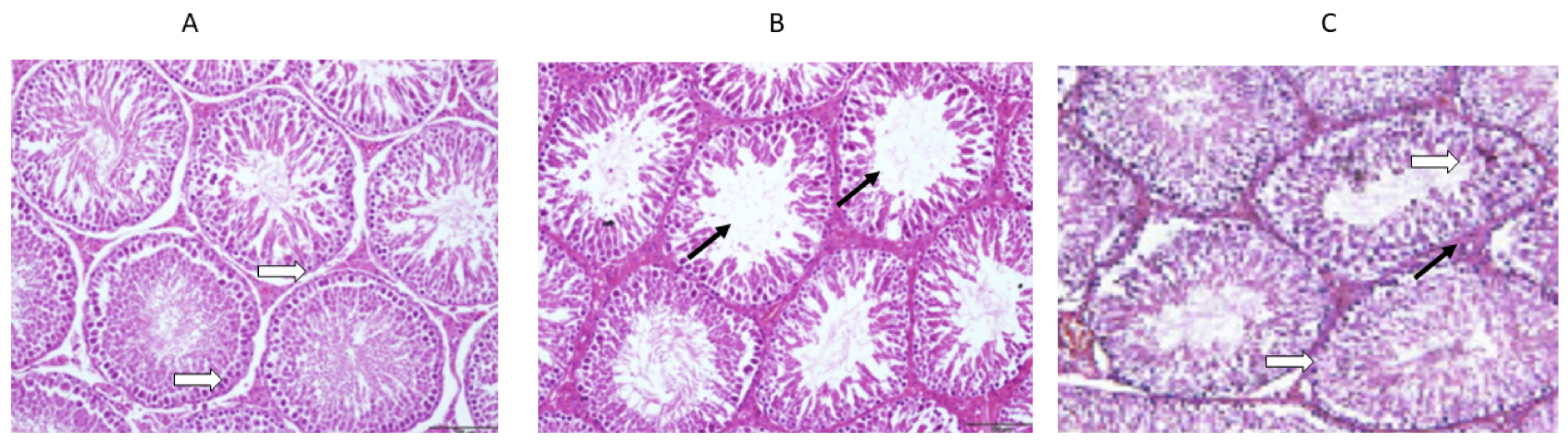 Medicina 59 00486 g007