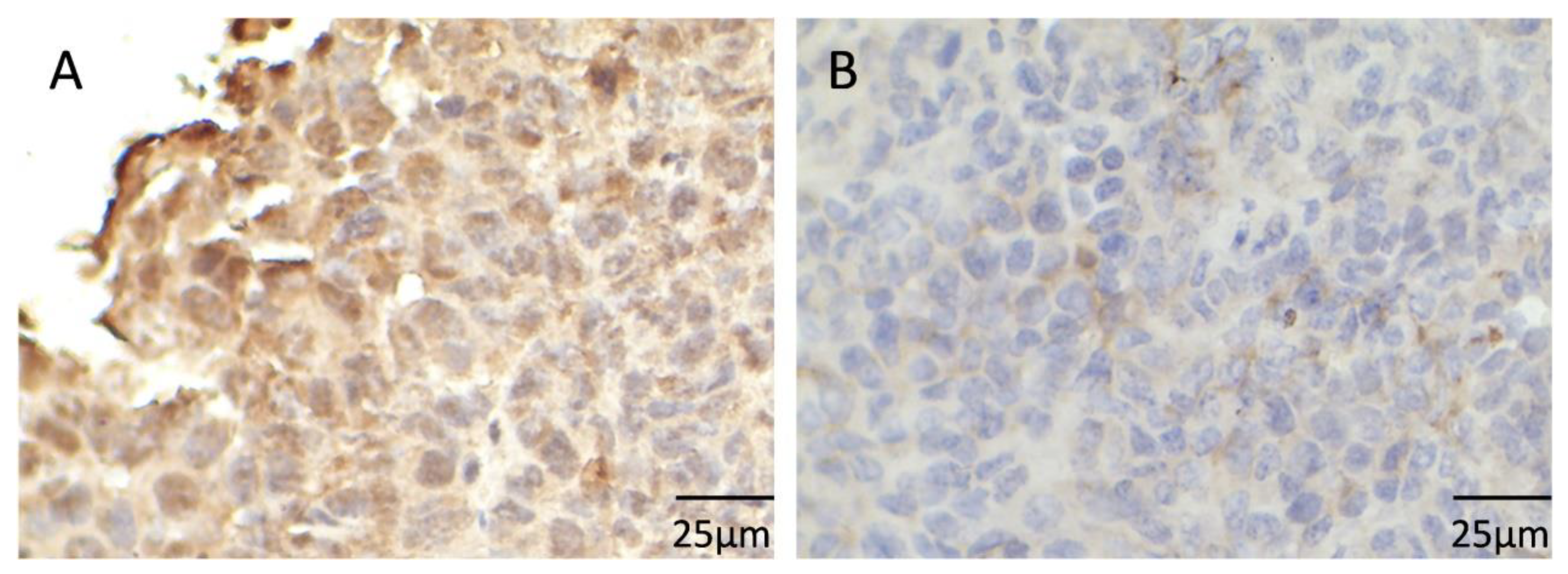 Medicina 59 00495 g002