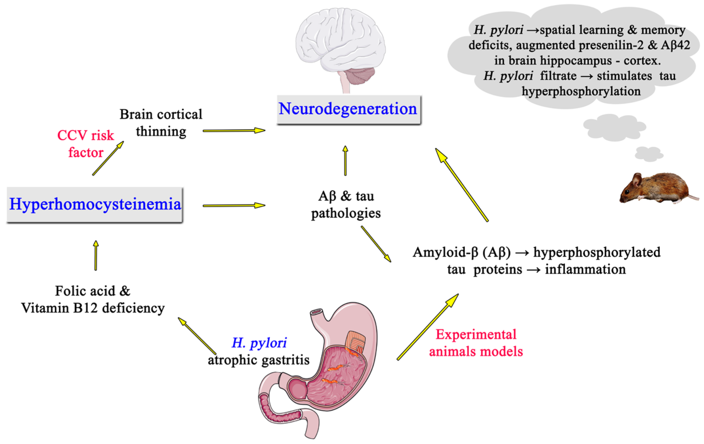 Medicina 59 00504 g002