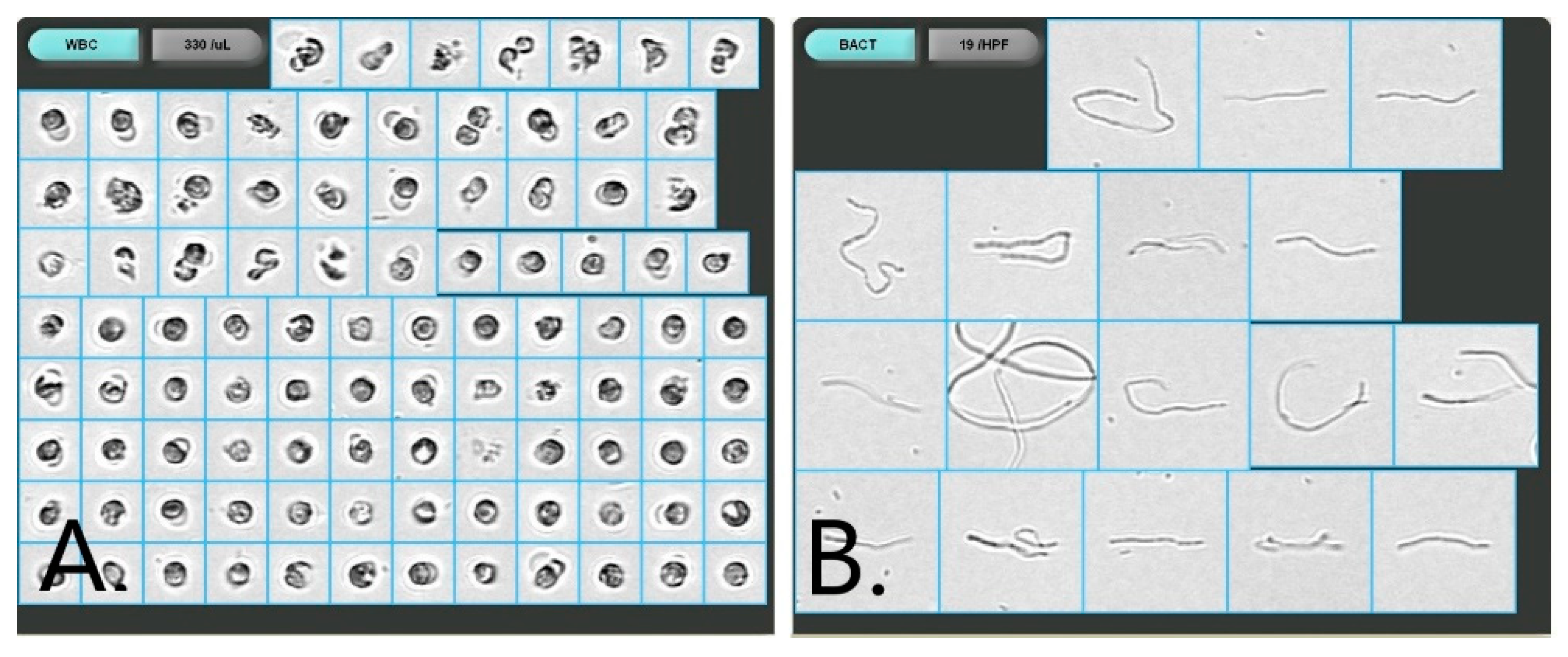 Medicina 59 00506 g001