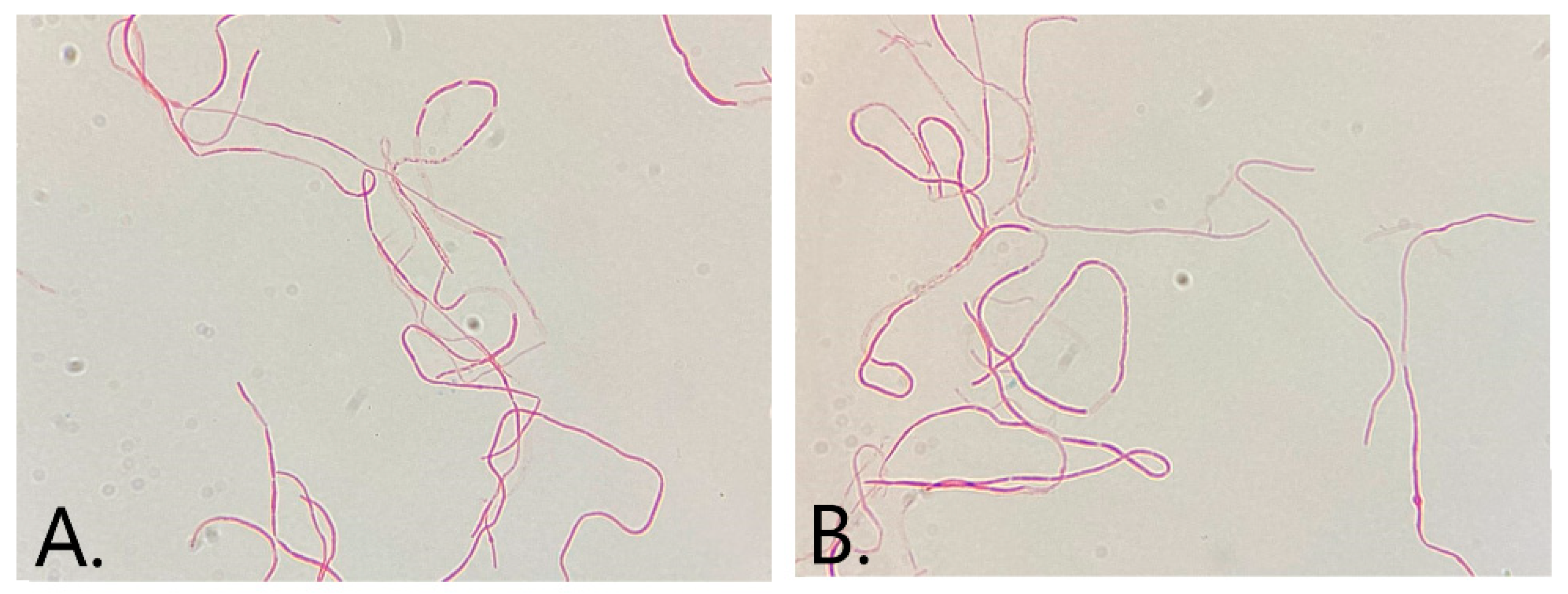 Medicina 59 00506 g003