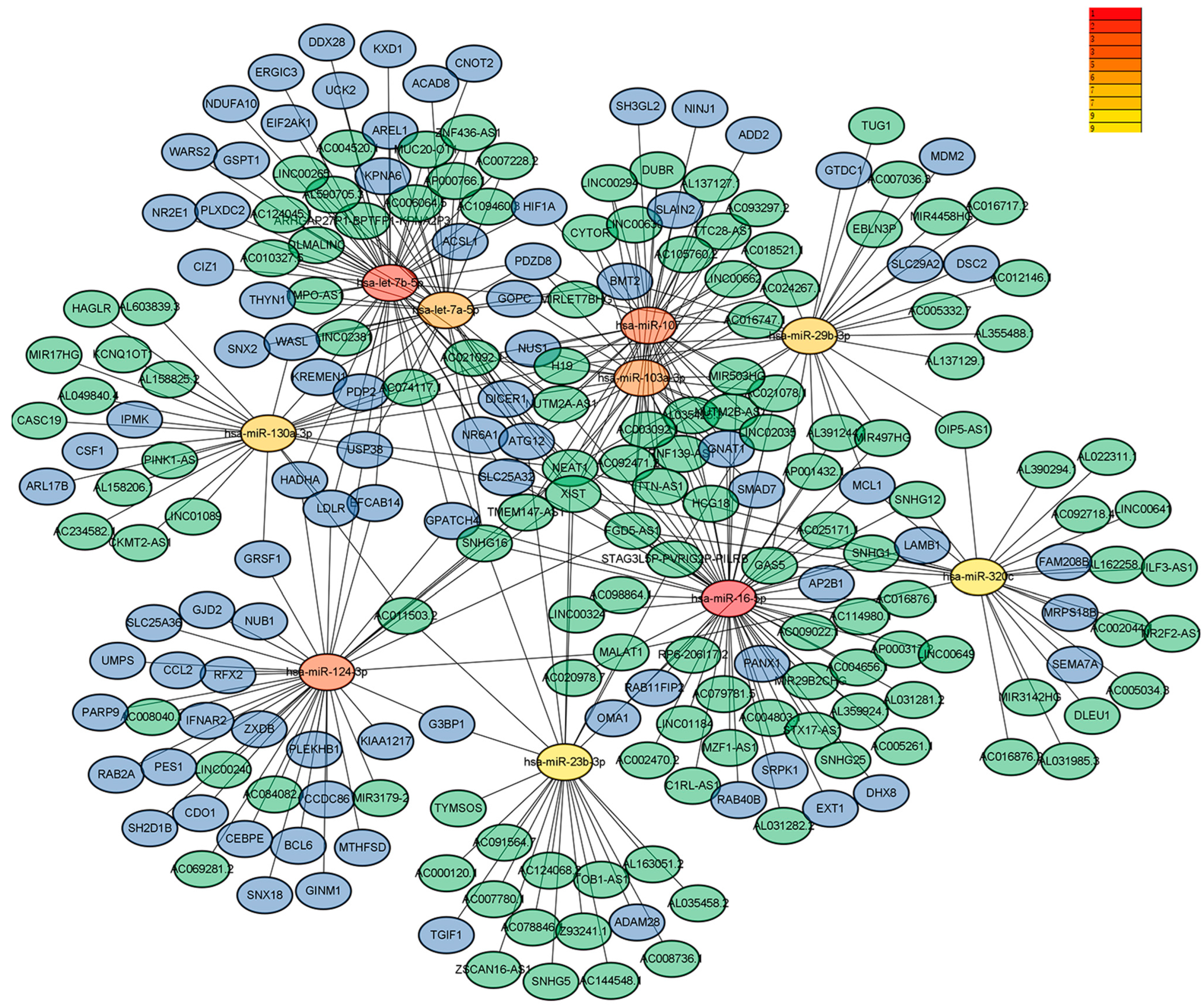 Medicina 59 00511 g003