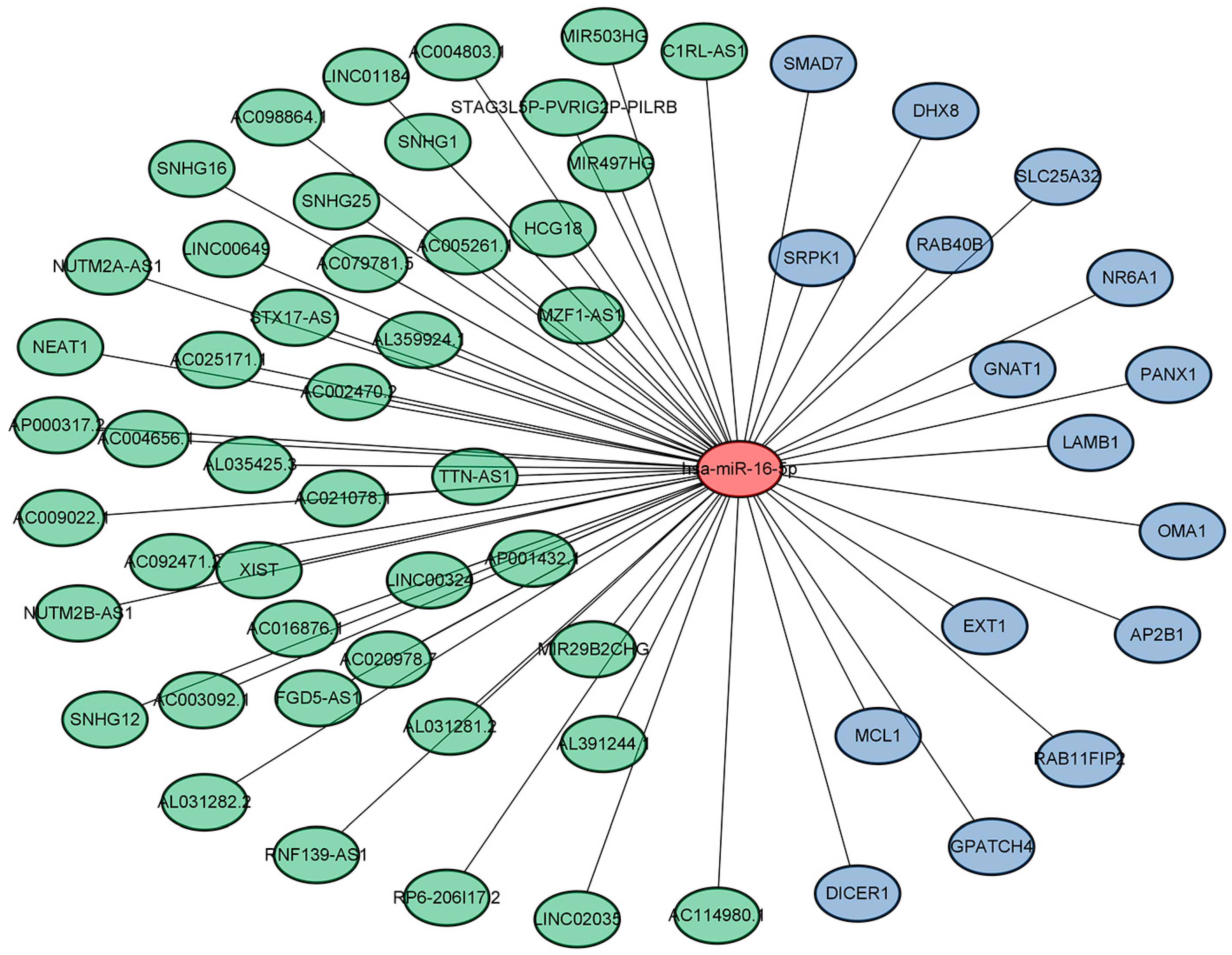 Medicina 59 00511 g004