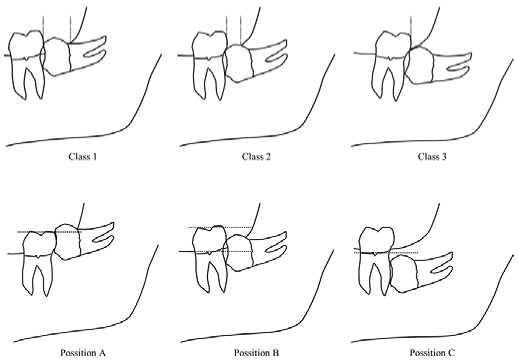 Medicina 59 00534 i001