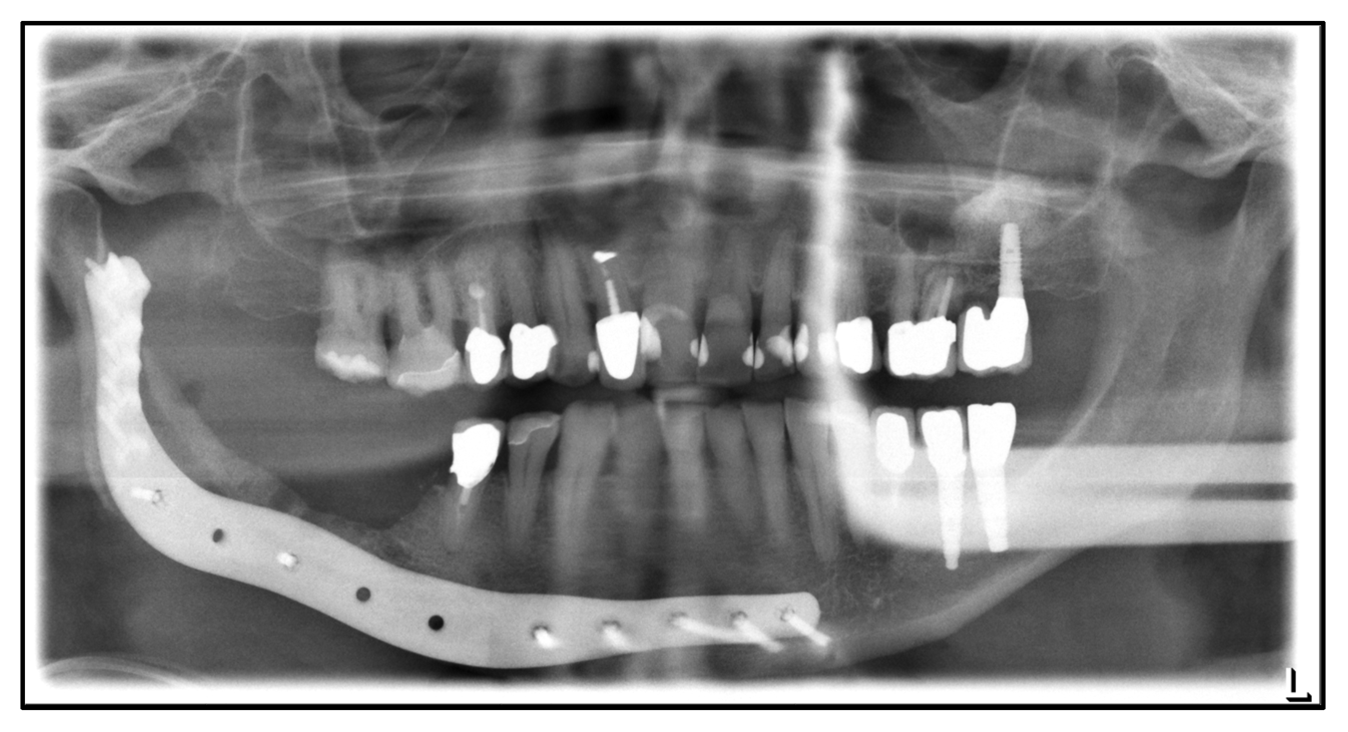 Medicina 59 00535 g001