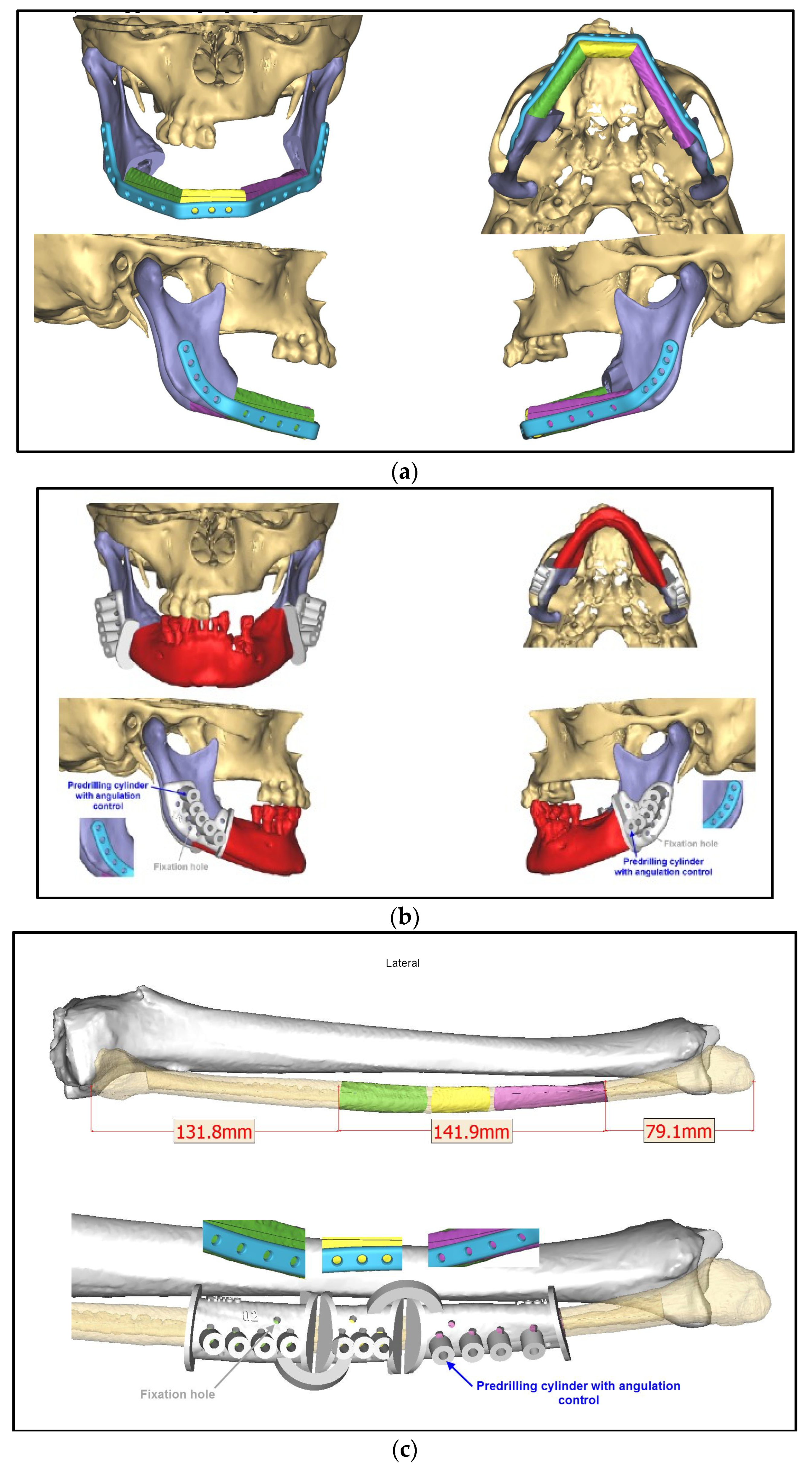 Medicina 59 00535 g006