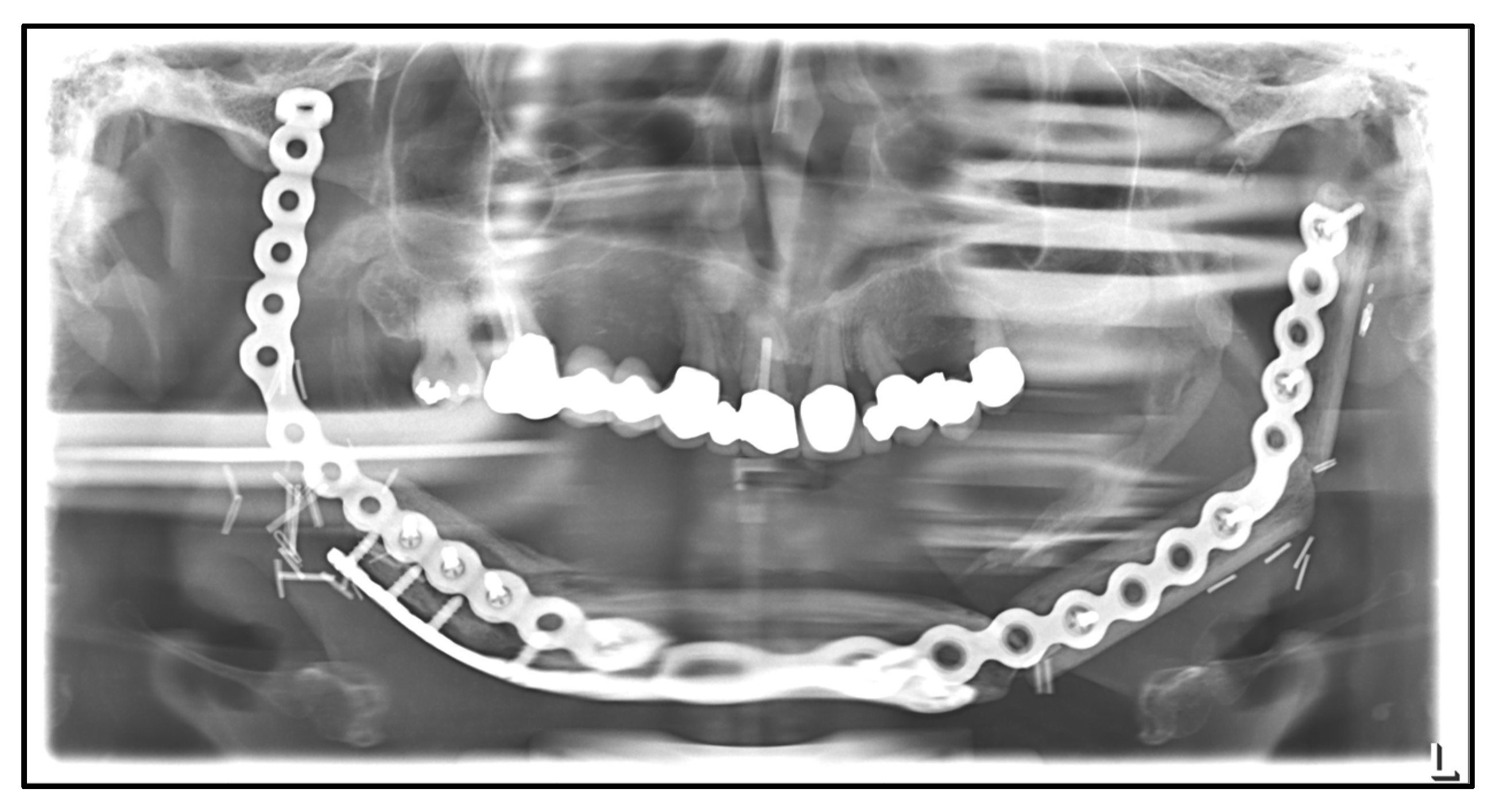 Medicina 59 00535 g010