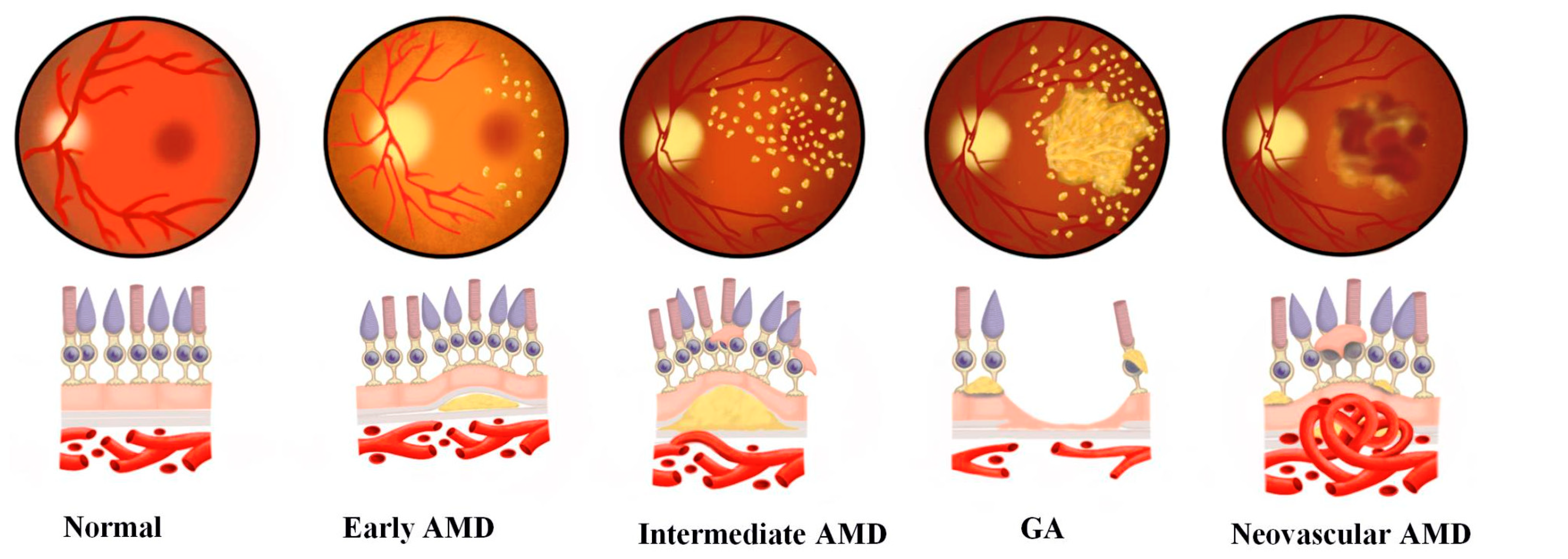 Medicina 59 00551 g001a