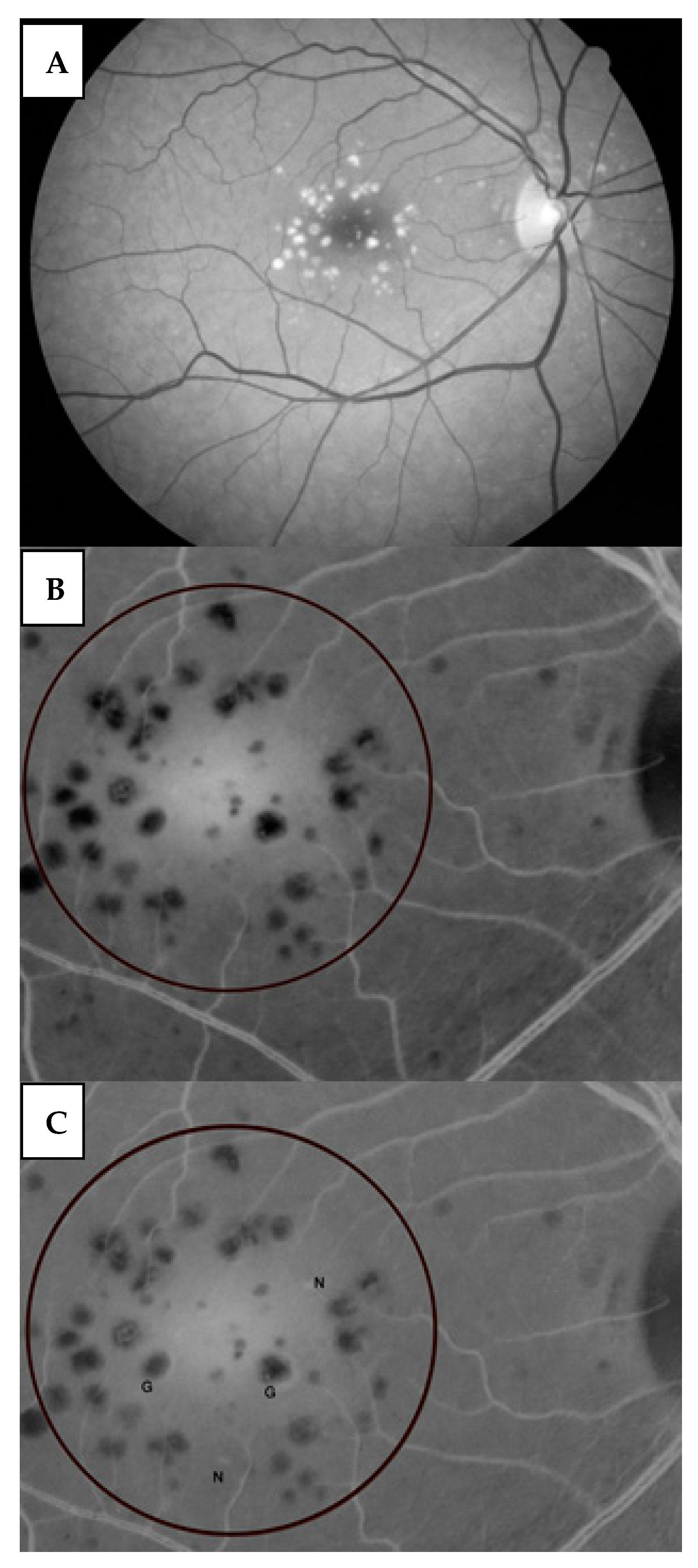 Medicina 59 00551 g002