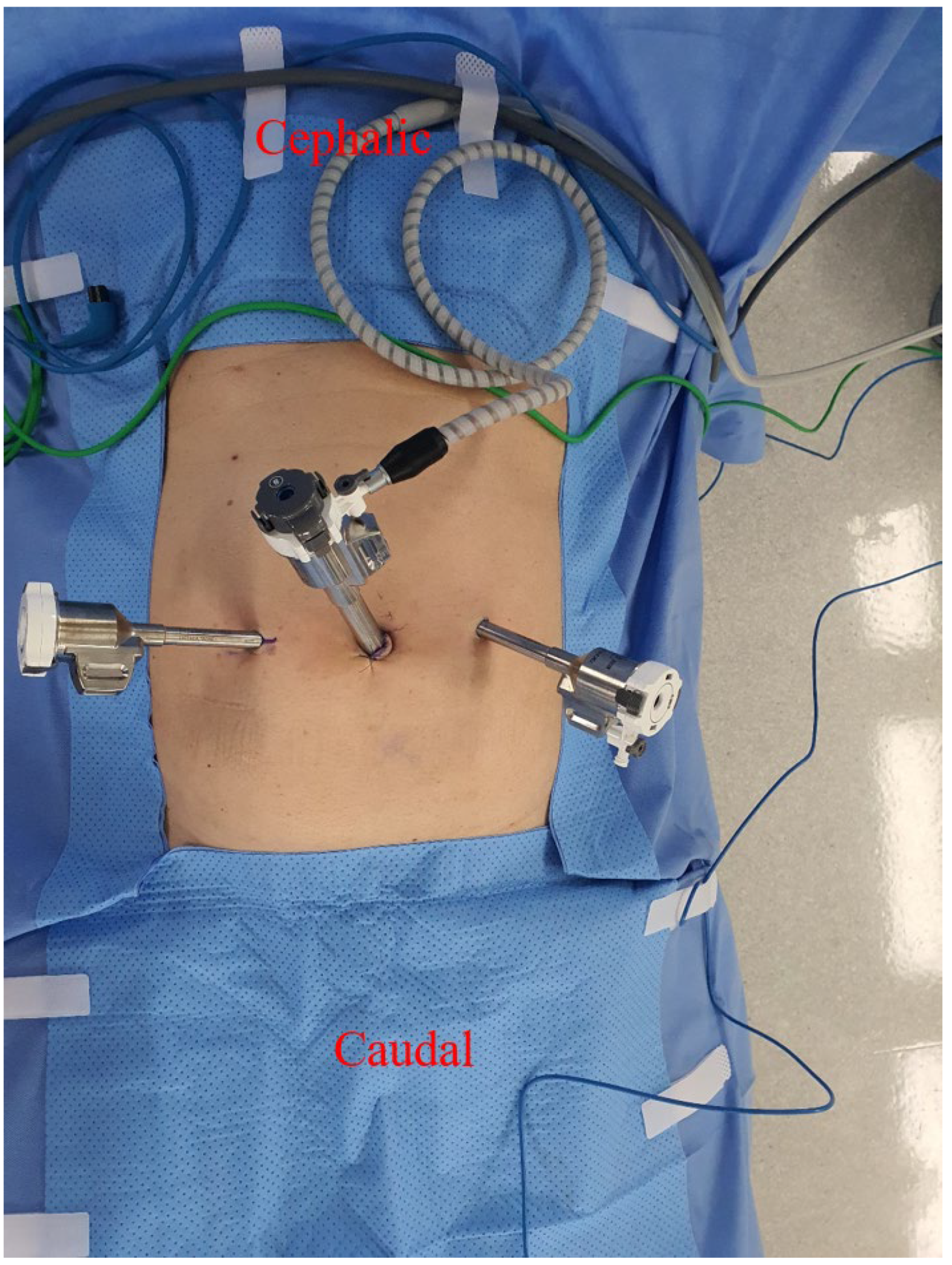 Medicina 59 00582 g001