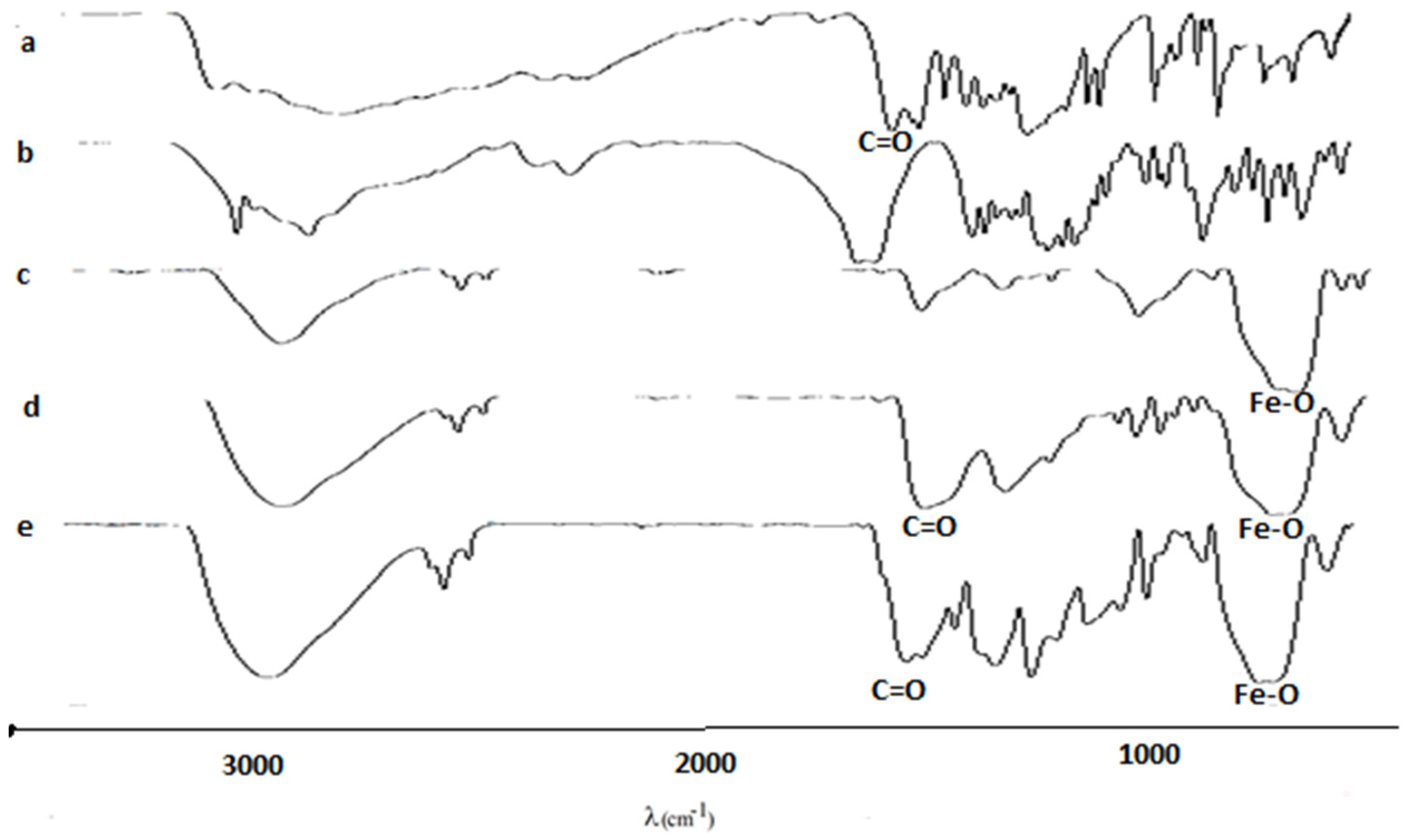 Medicina 59 00587 g001