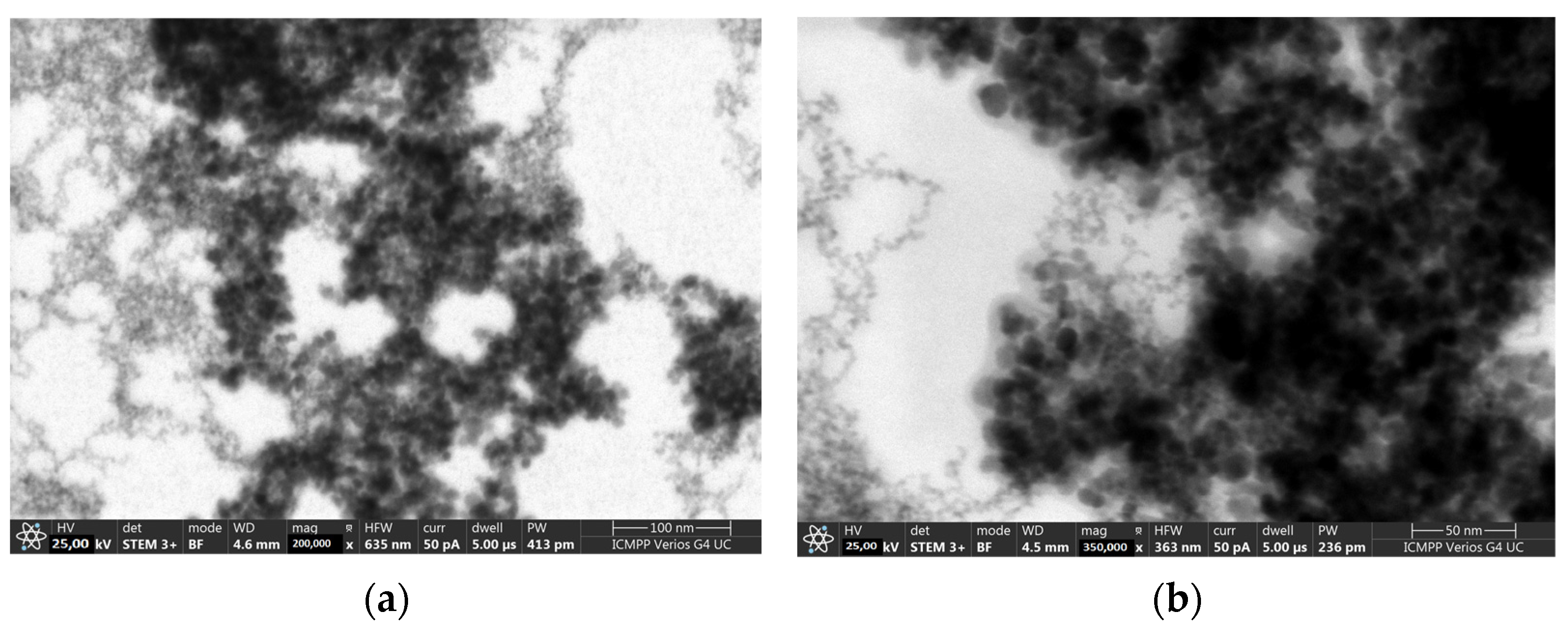 Medicina 59 00587 g002