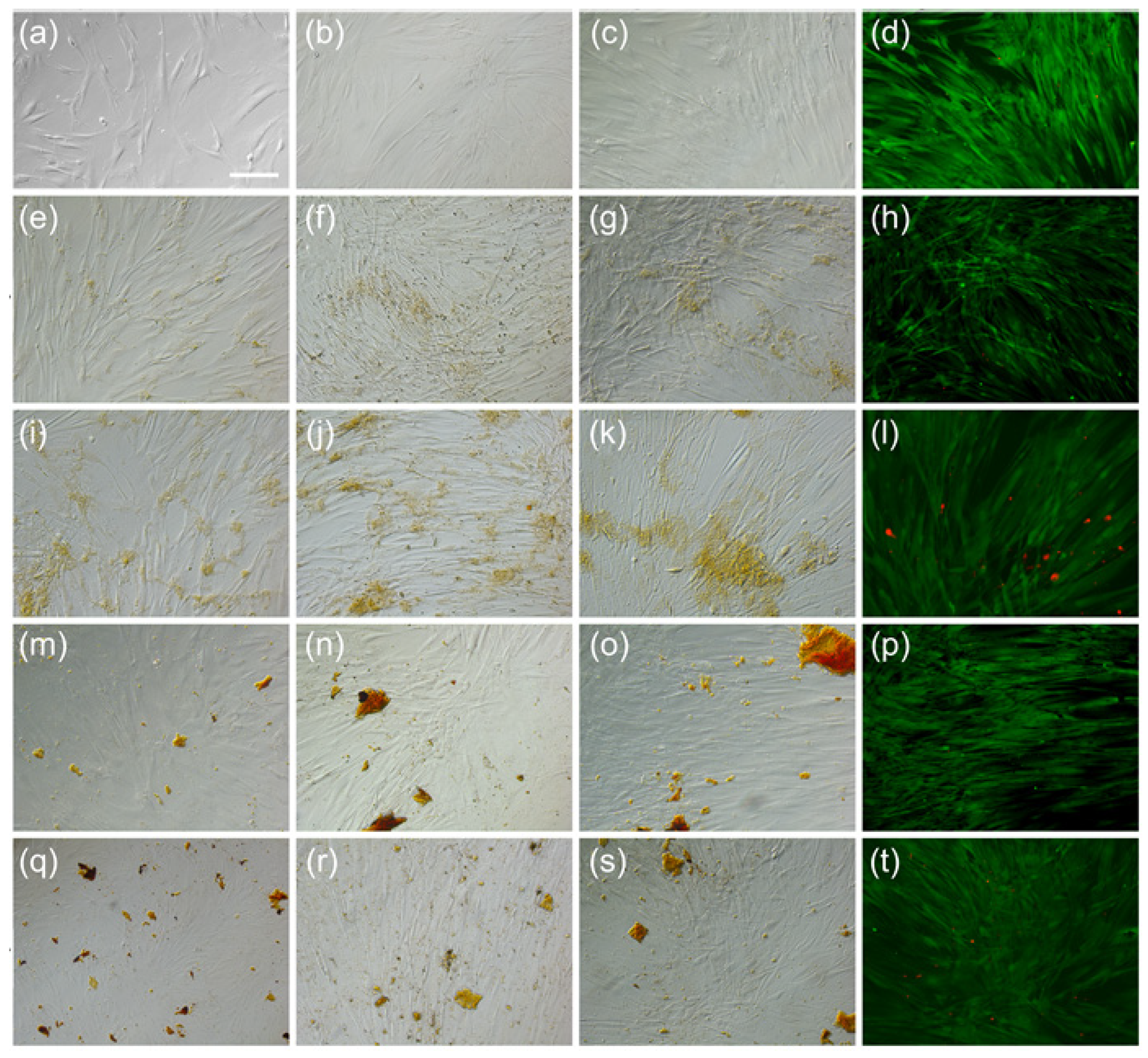 Medicina 59 00587 g006