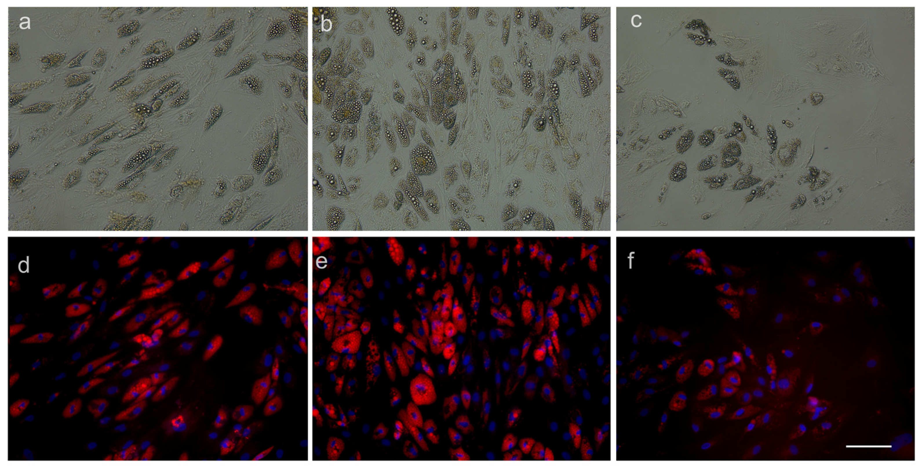 Medicina 59 00587 g007