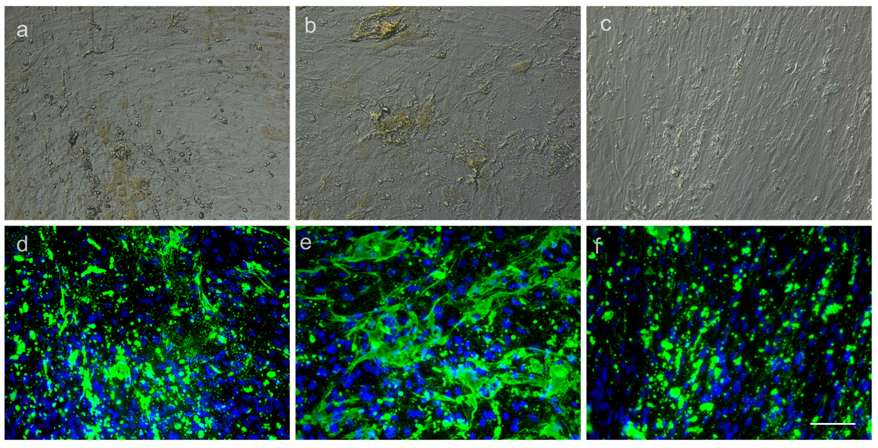 Medicina 59 00587 g008