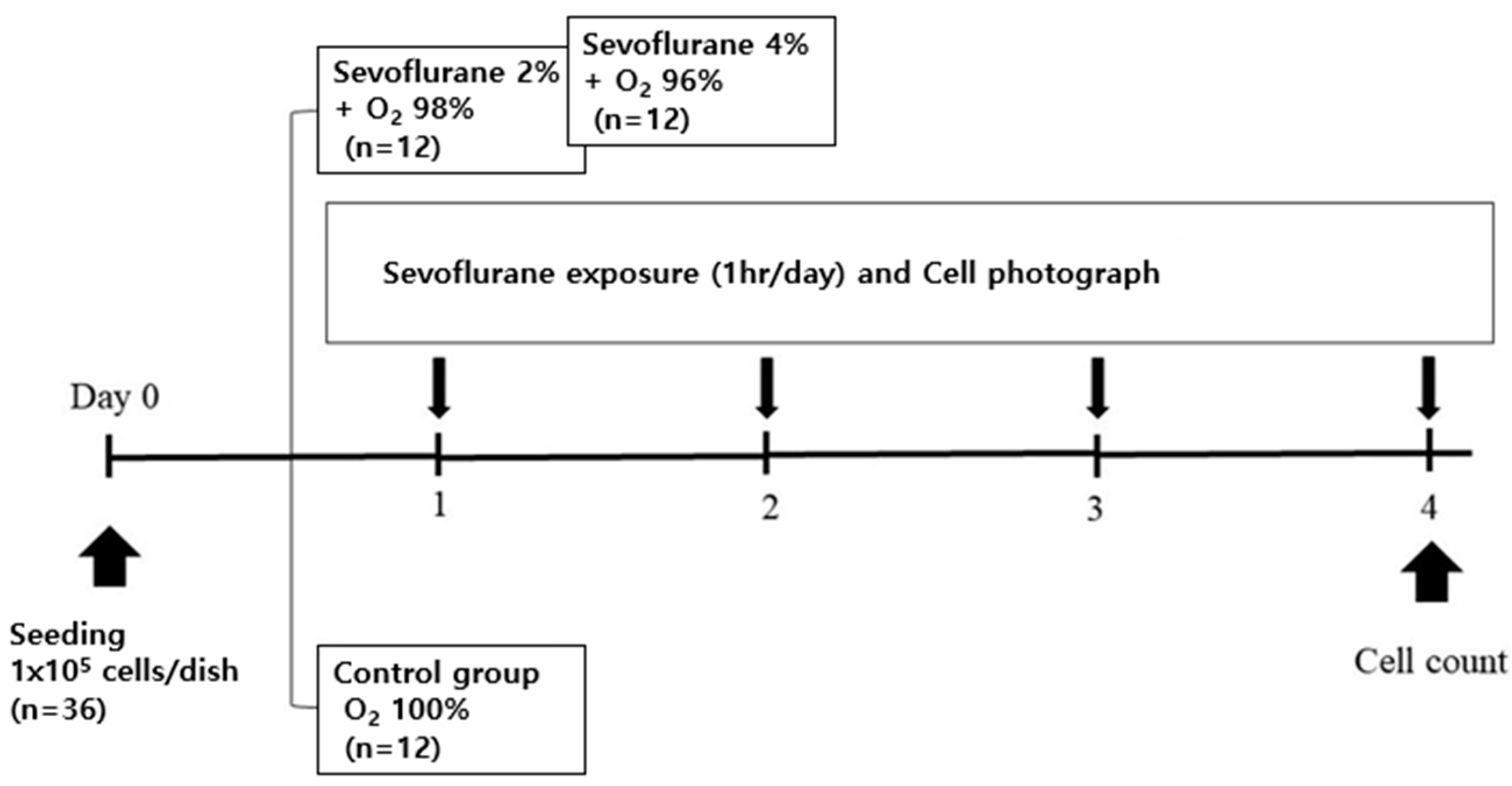 Medicina 59 00613 g001