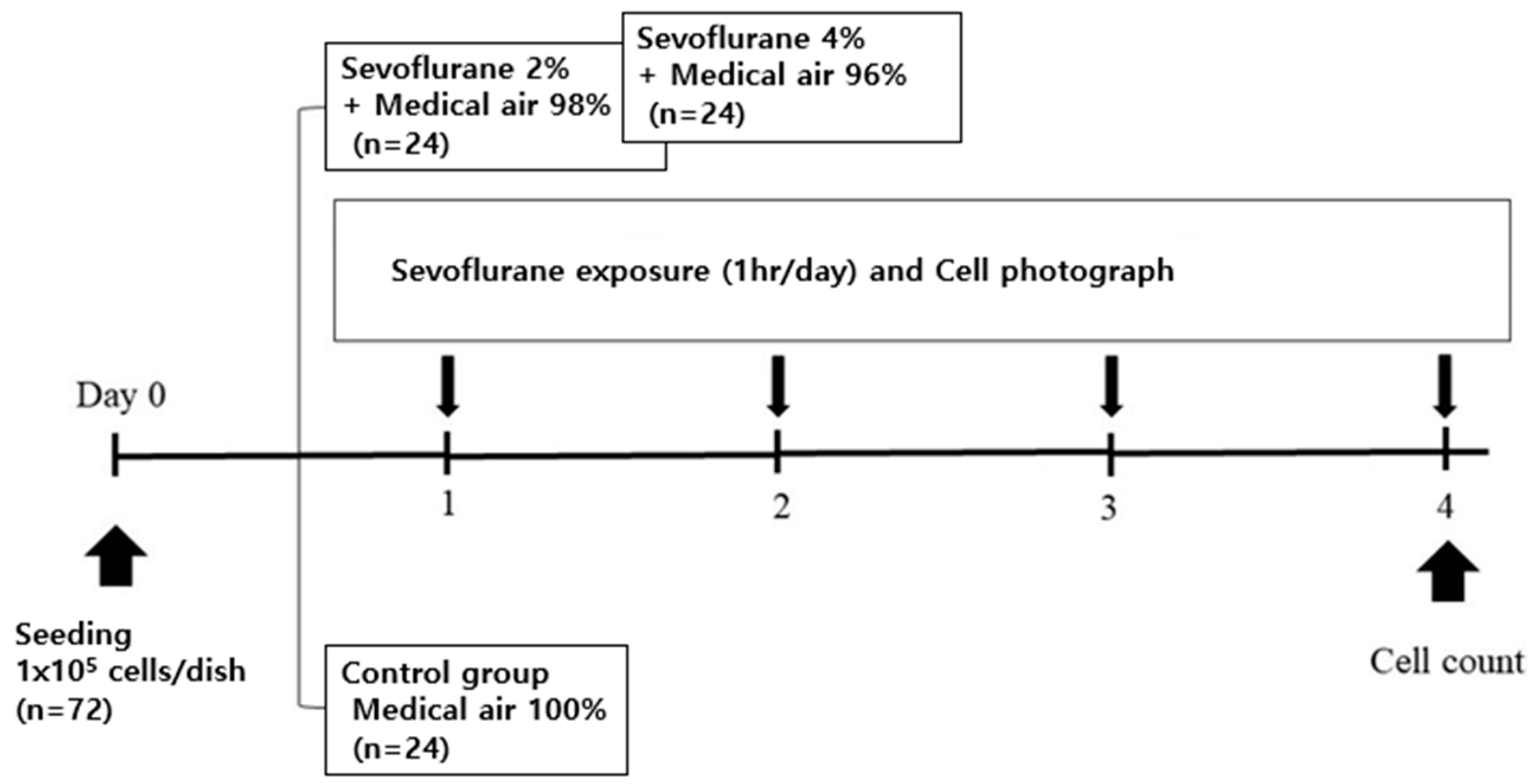 Medicina 59 00613 g002