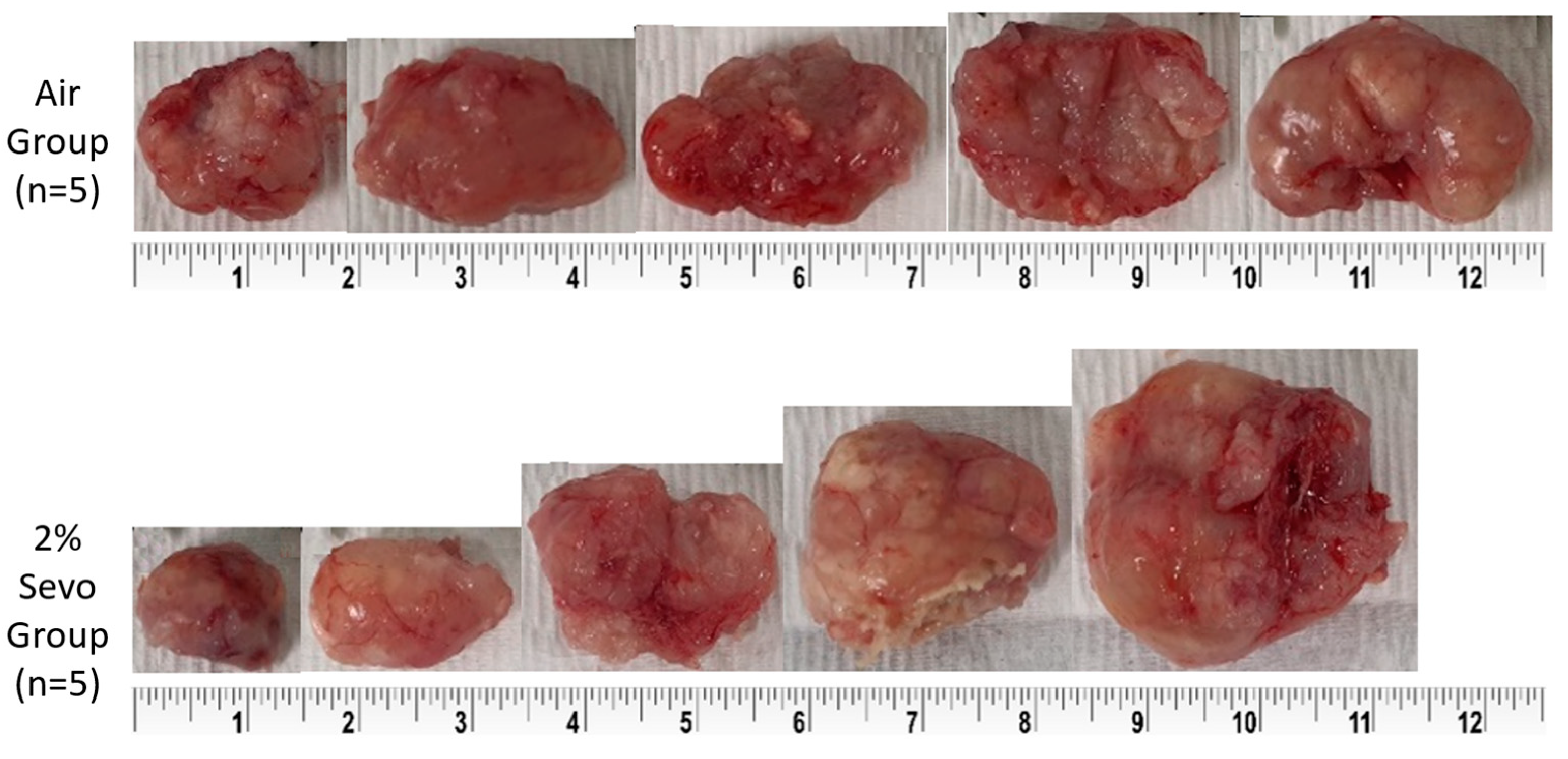 Medicina 59 00613 g005