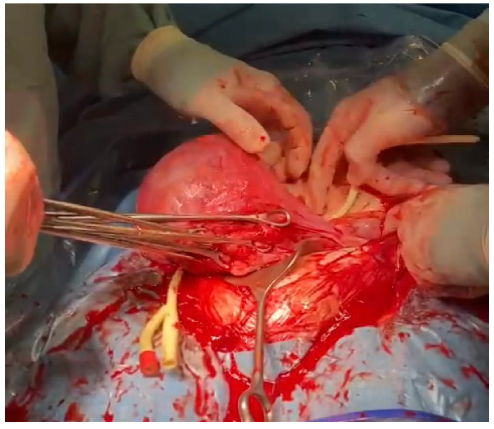 Medicina 59 00641 g009