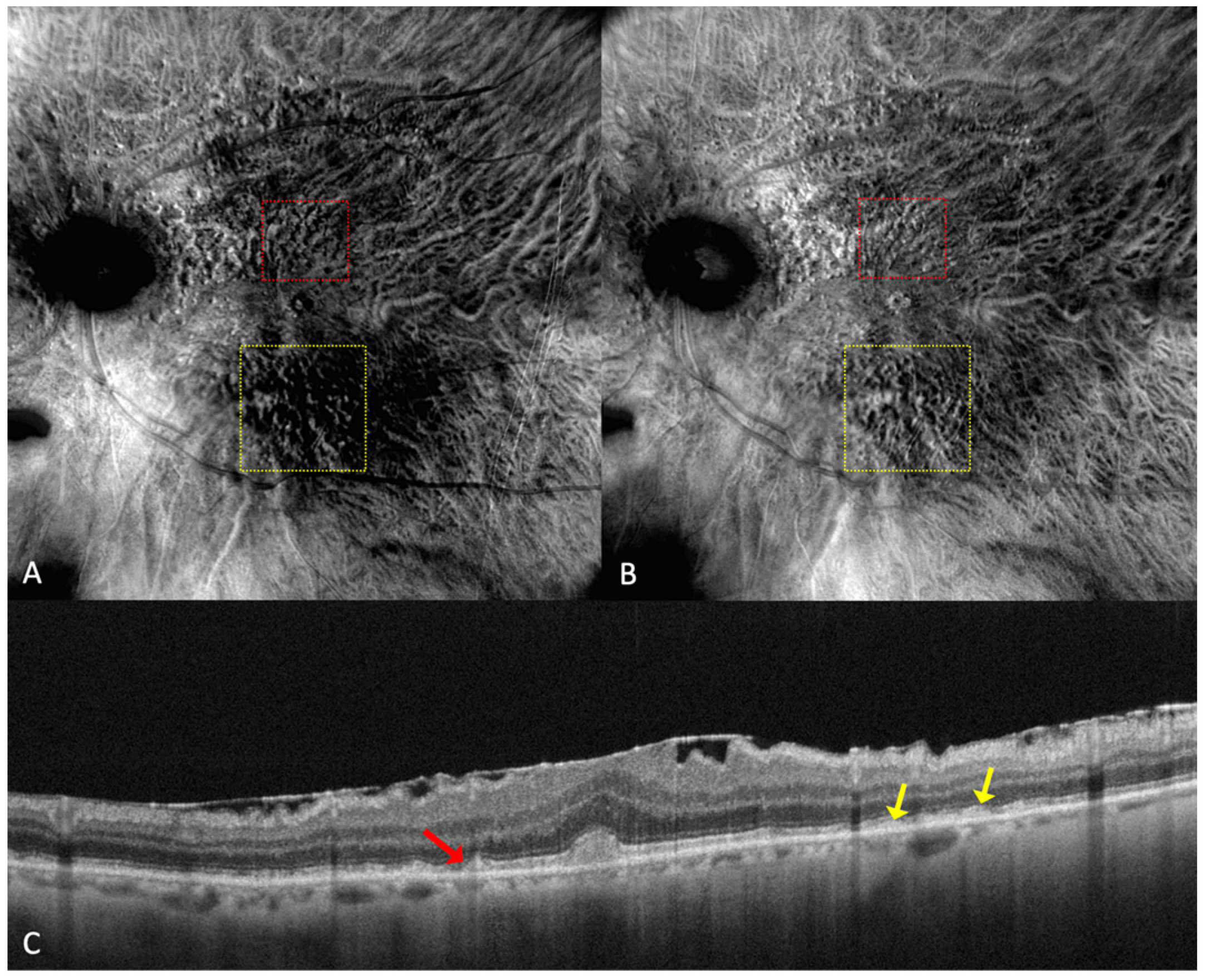 Medicina 59 00647 g004