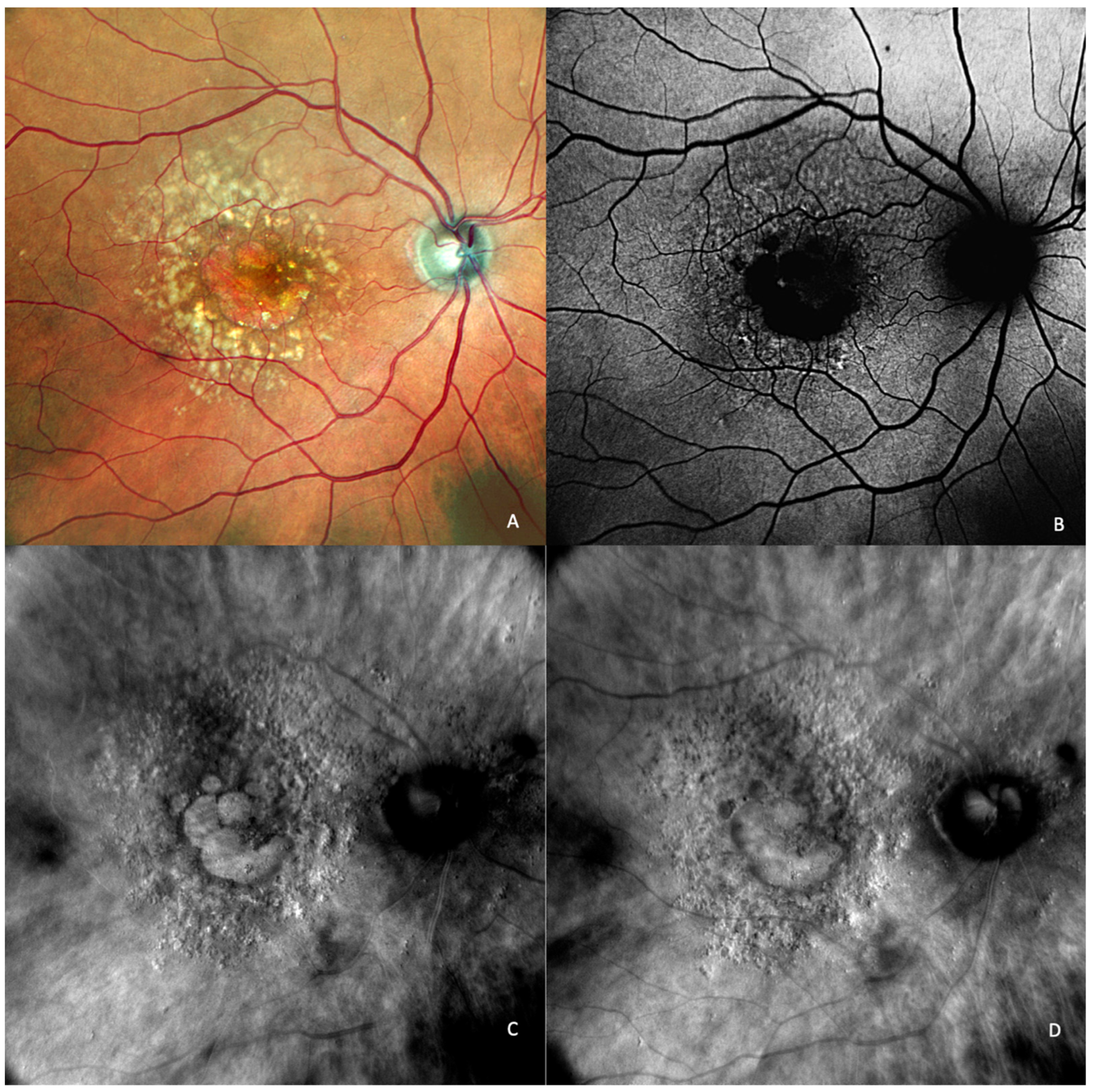 Medicina 59 00647 g006a