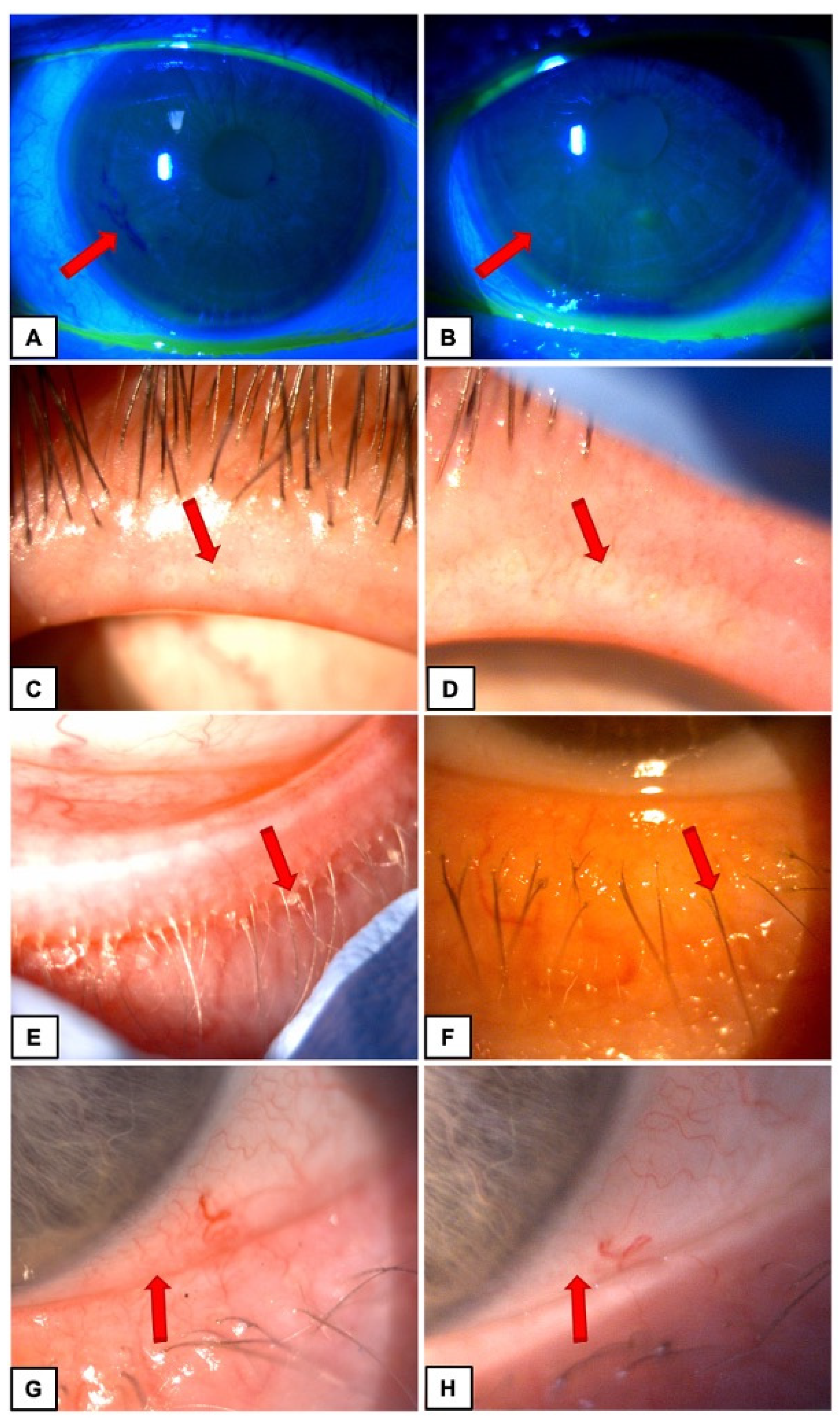 Medicina 59 00658 g001