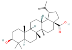 Medicina 59 00666 i004