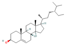 Medicina 59 00666 i005