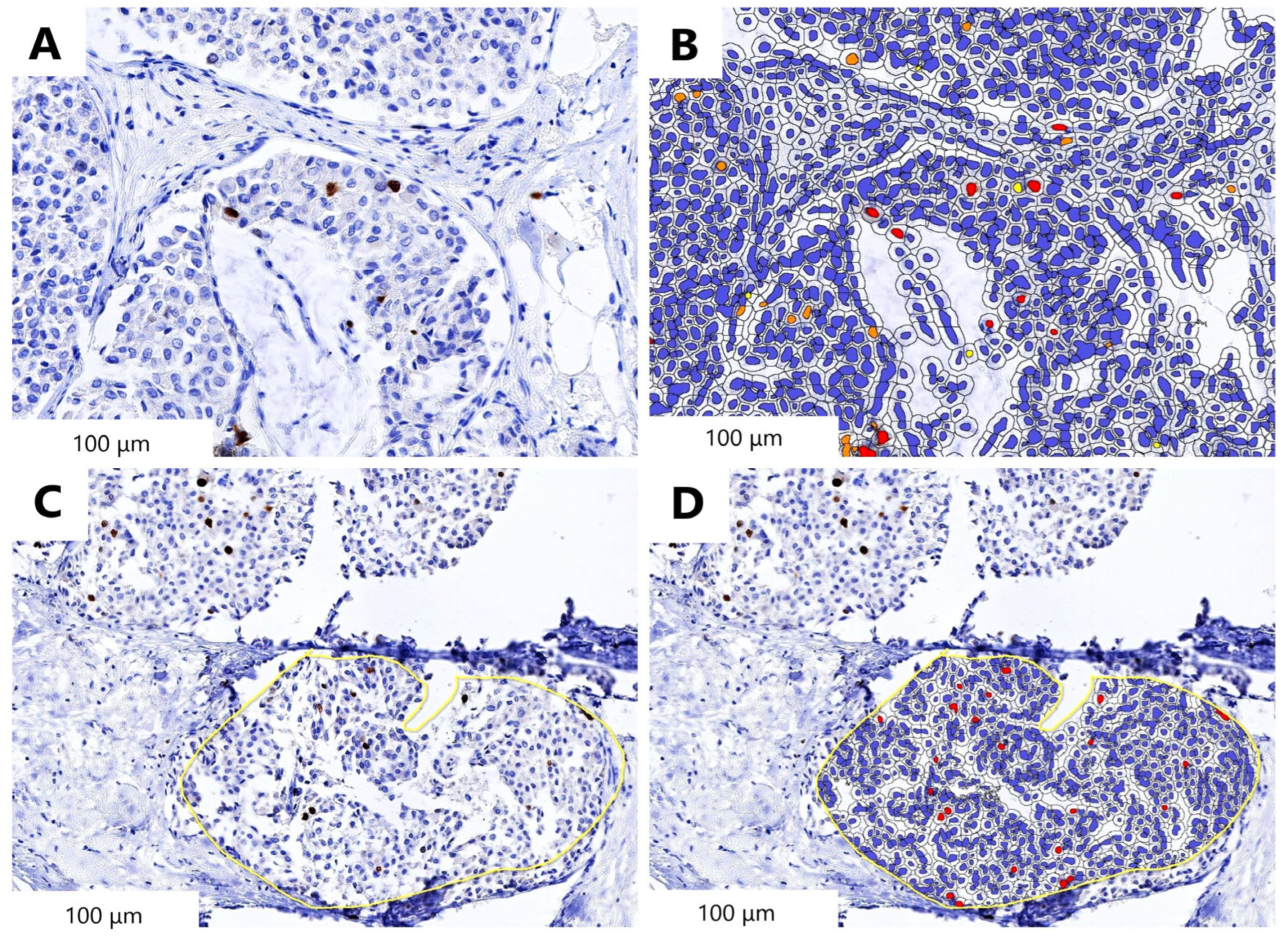 Medicina 59 00672 g005