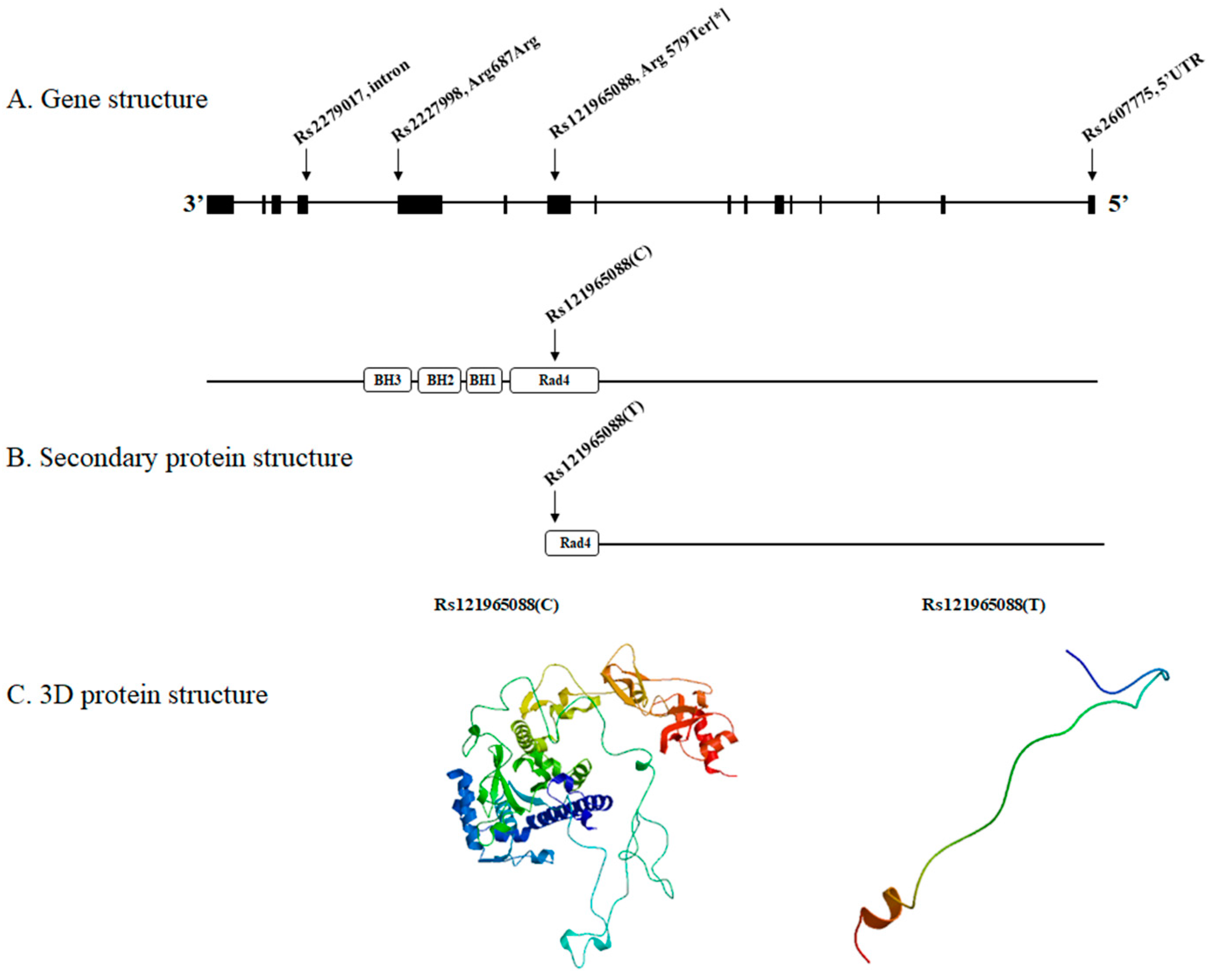 Medicina 59 00699 g001