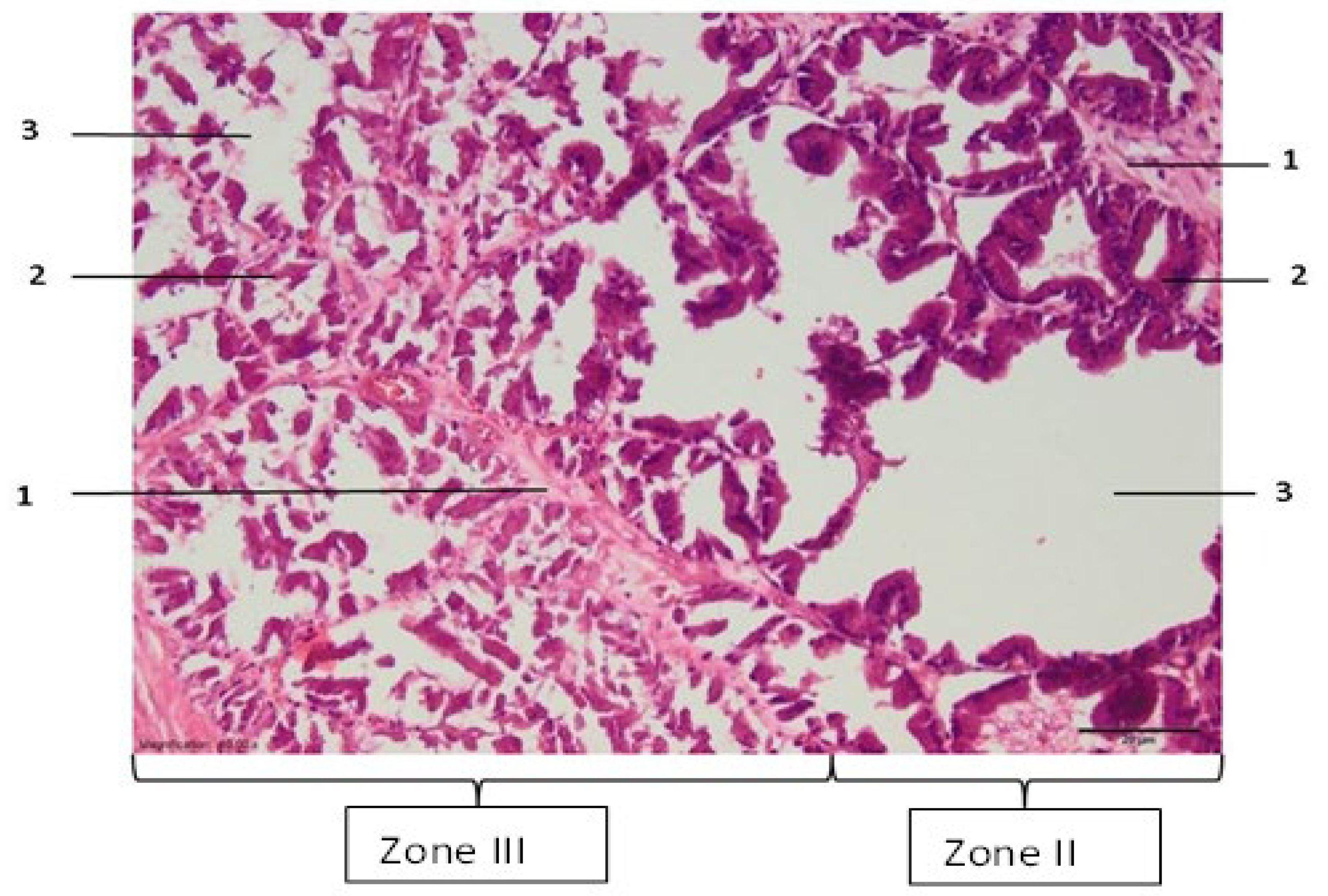 Medicina 59 00702 g003