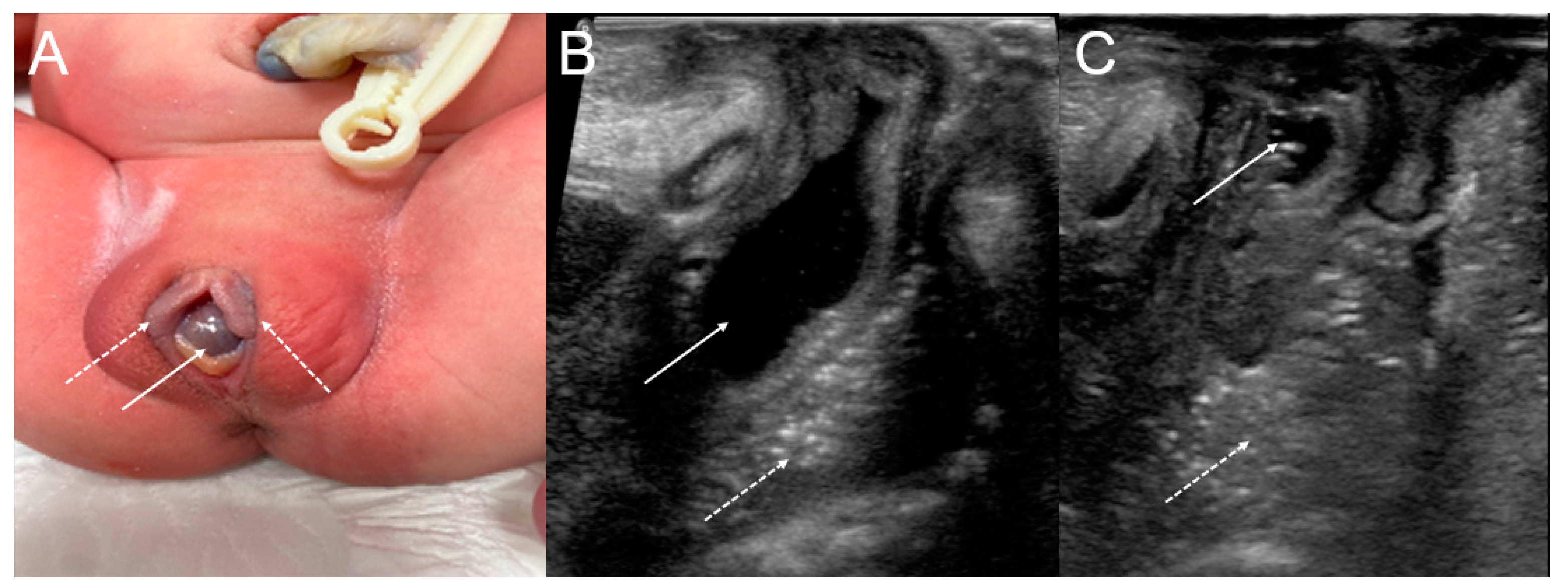 Medicina 59 00703 g002