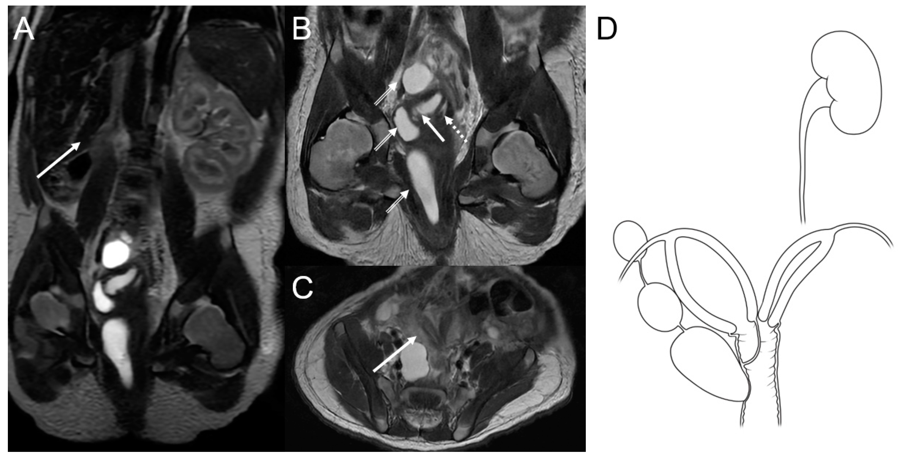 Medicina 59 00703 g003
