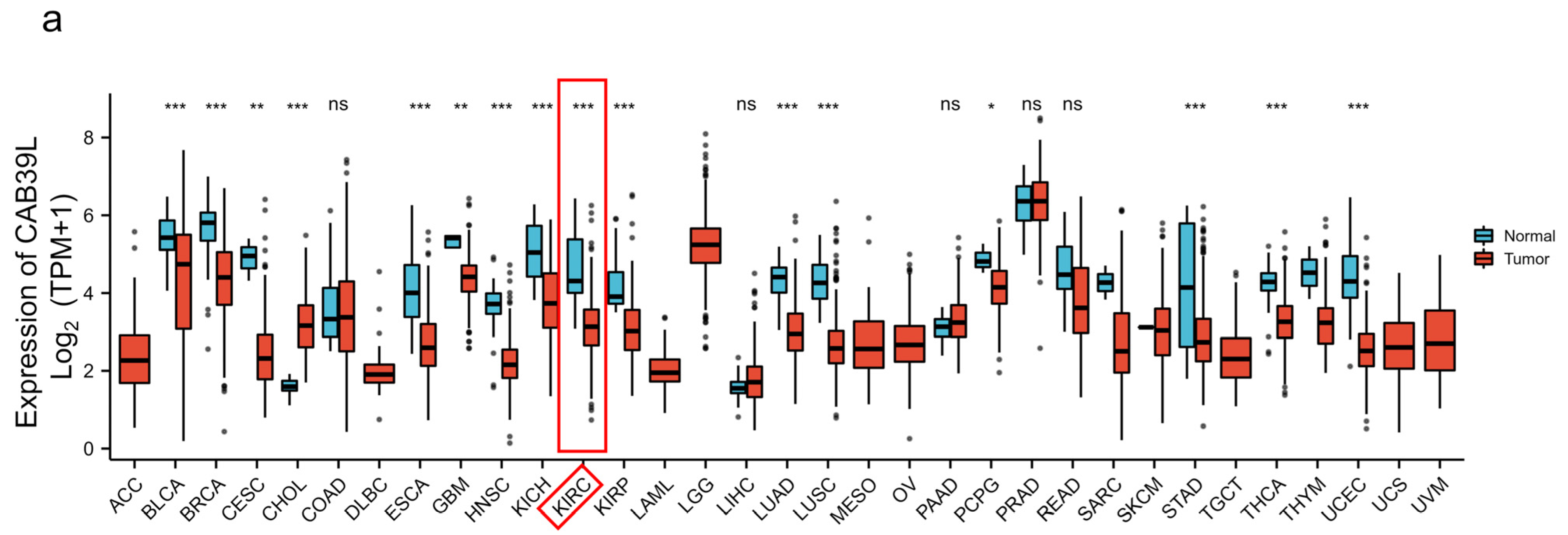 Medicina 59 00716 g001a