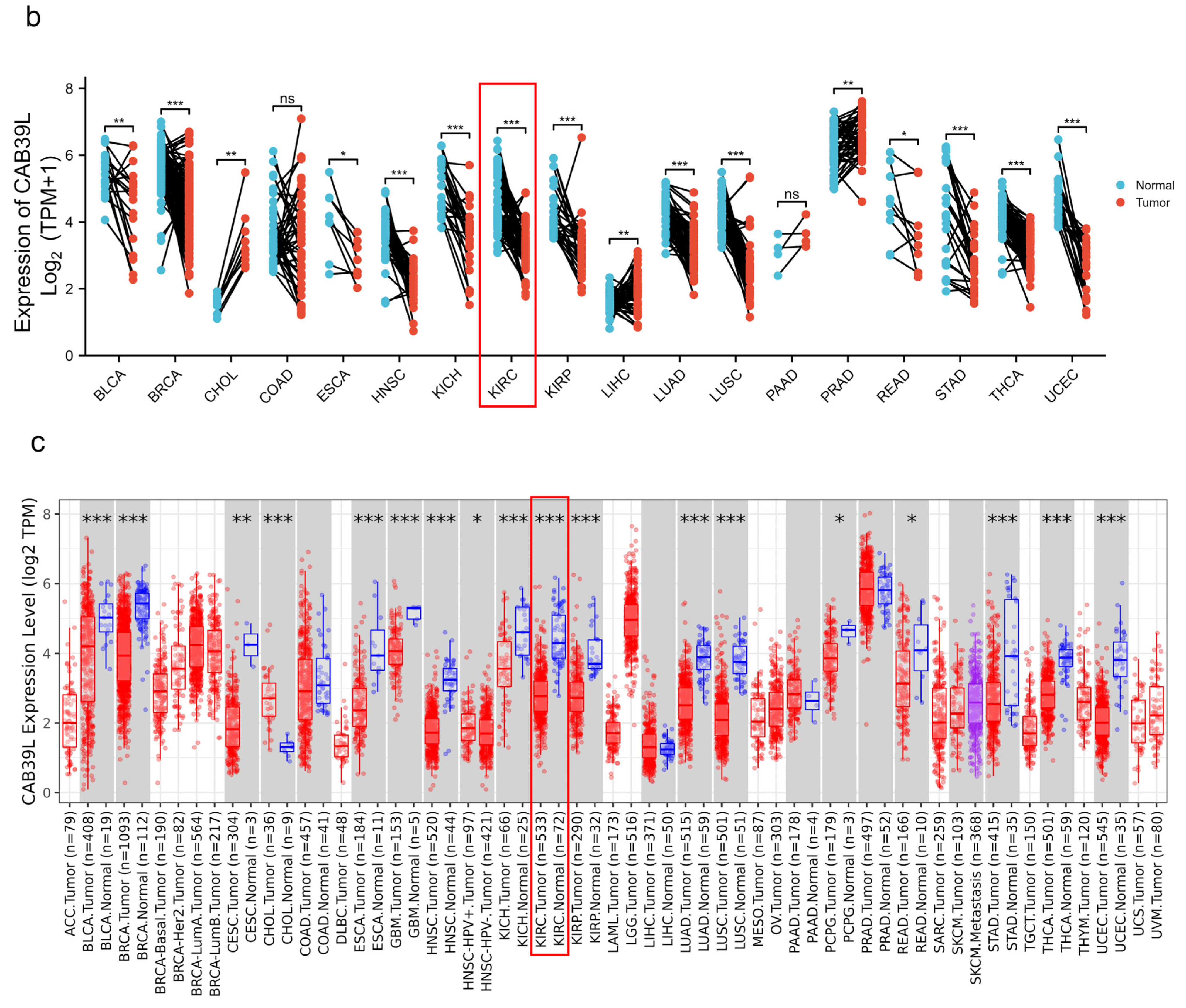 Medicina 59 00716 g001b