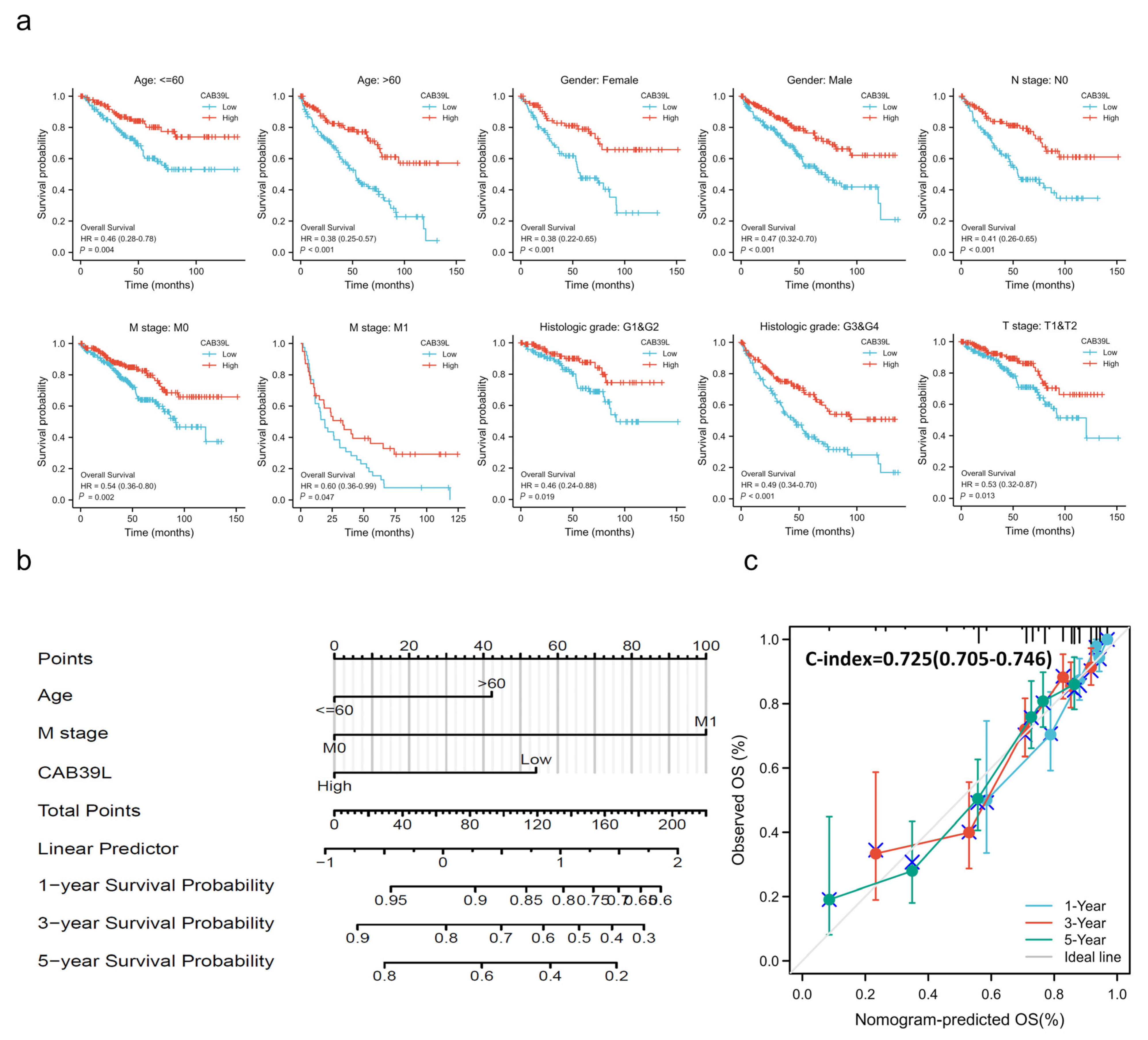 Medicina 59 00716 g005