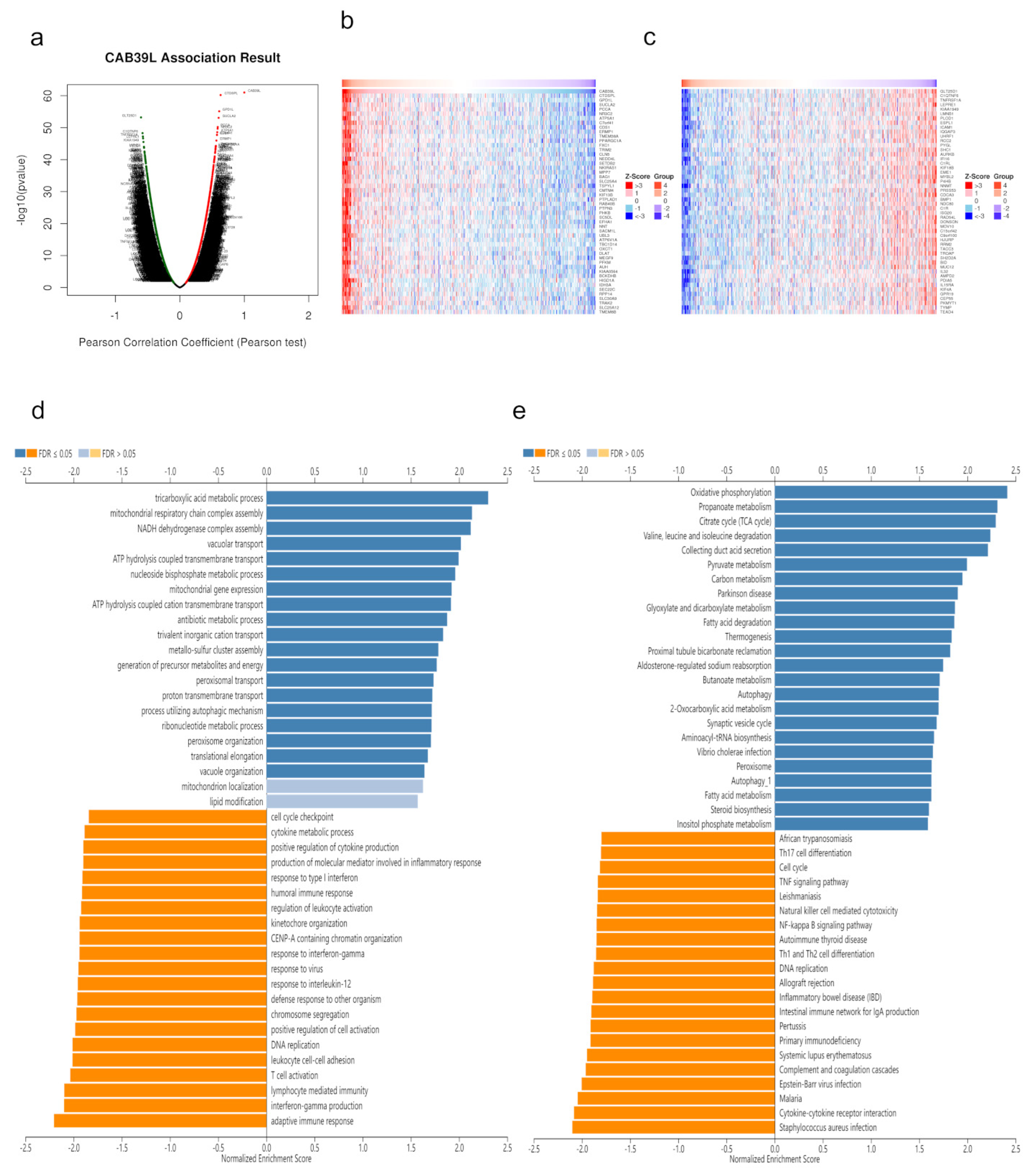 Medicina 59 00716 g007