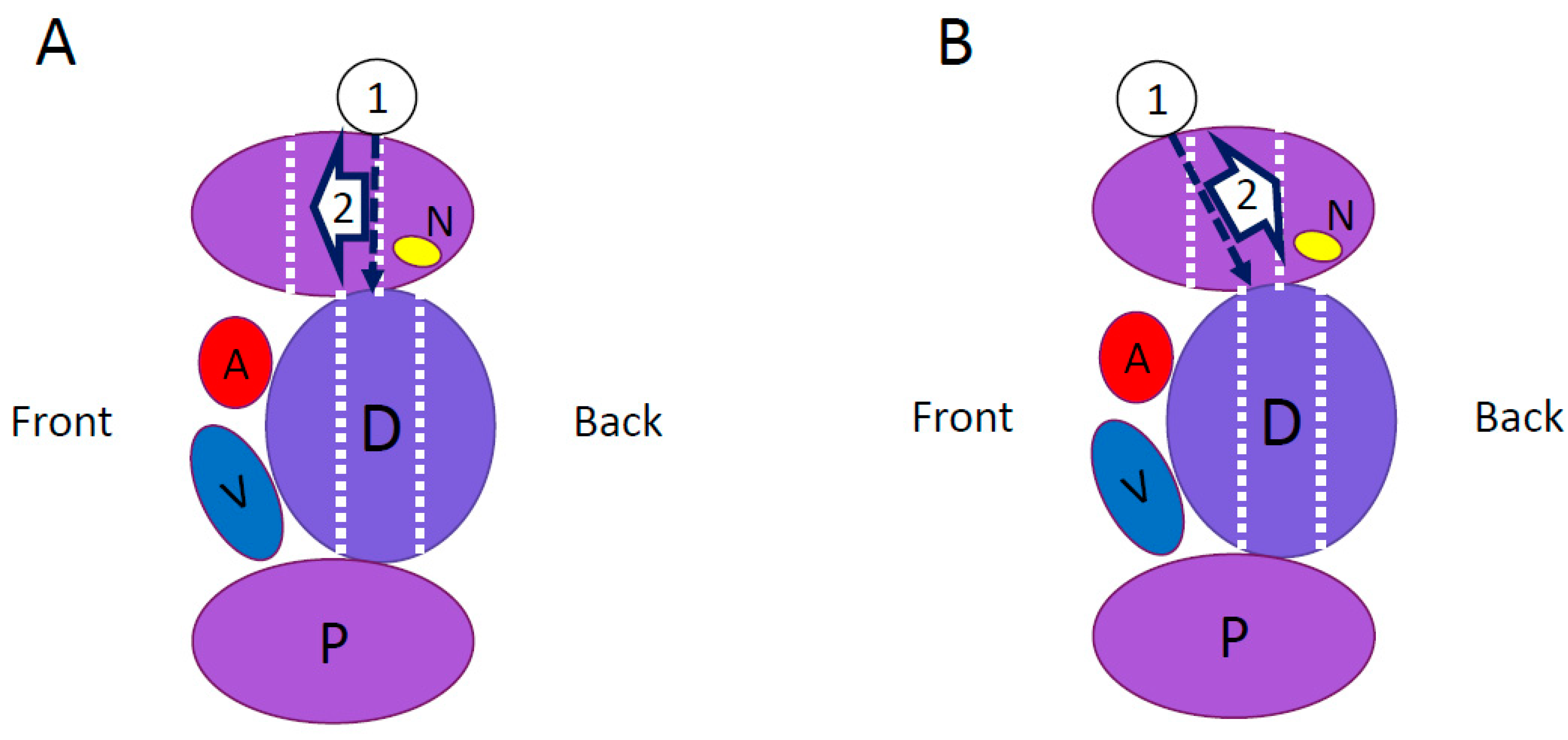 Medicina 59 00730 g002
