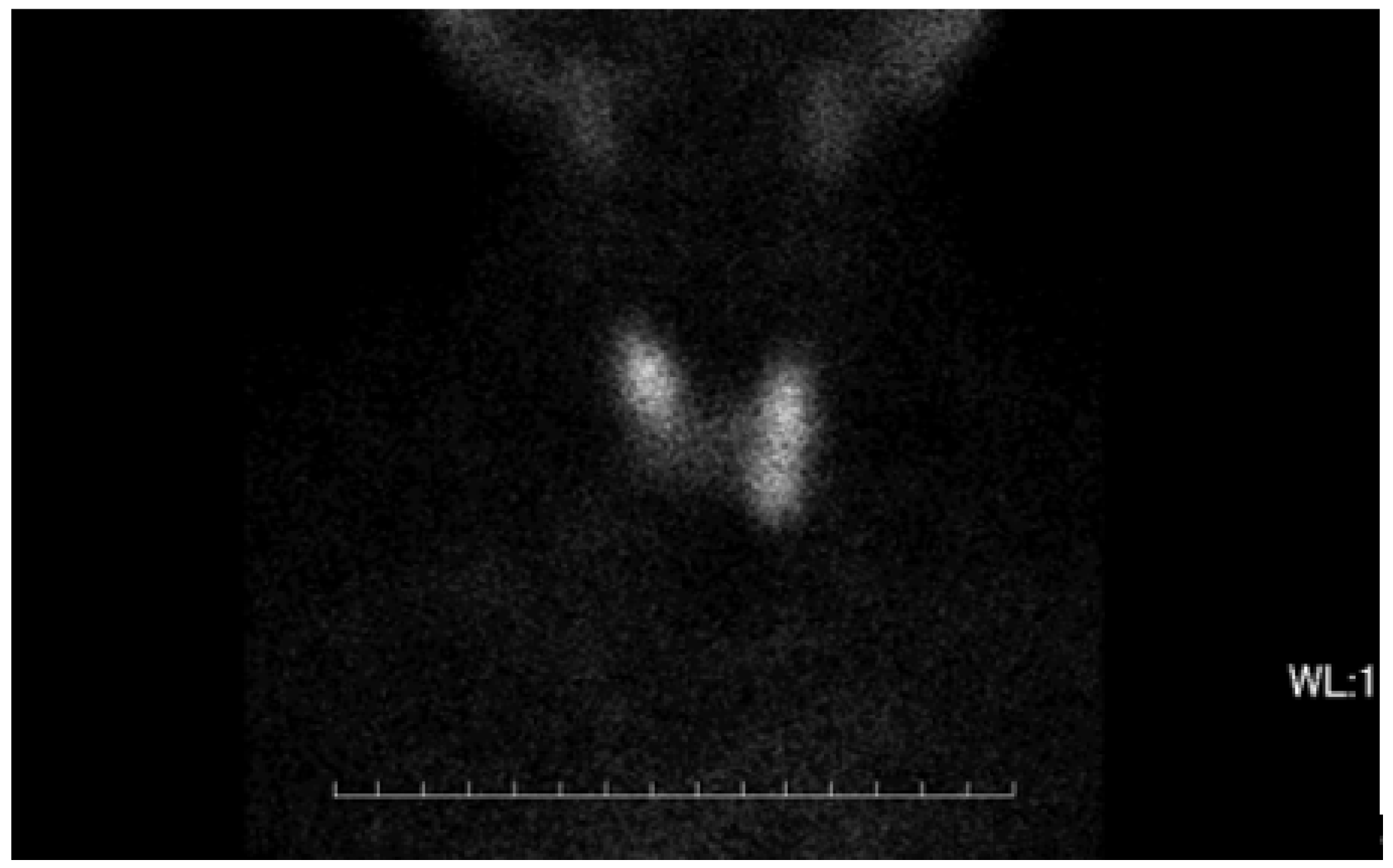 Medicina 59 00757 g002