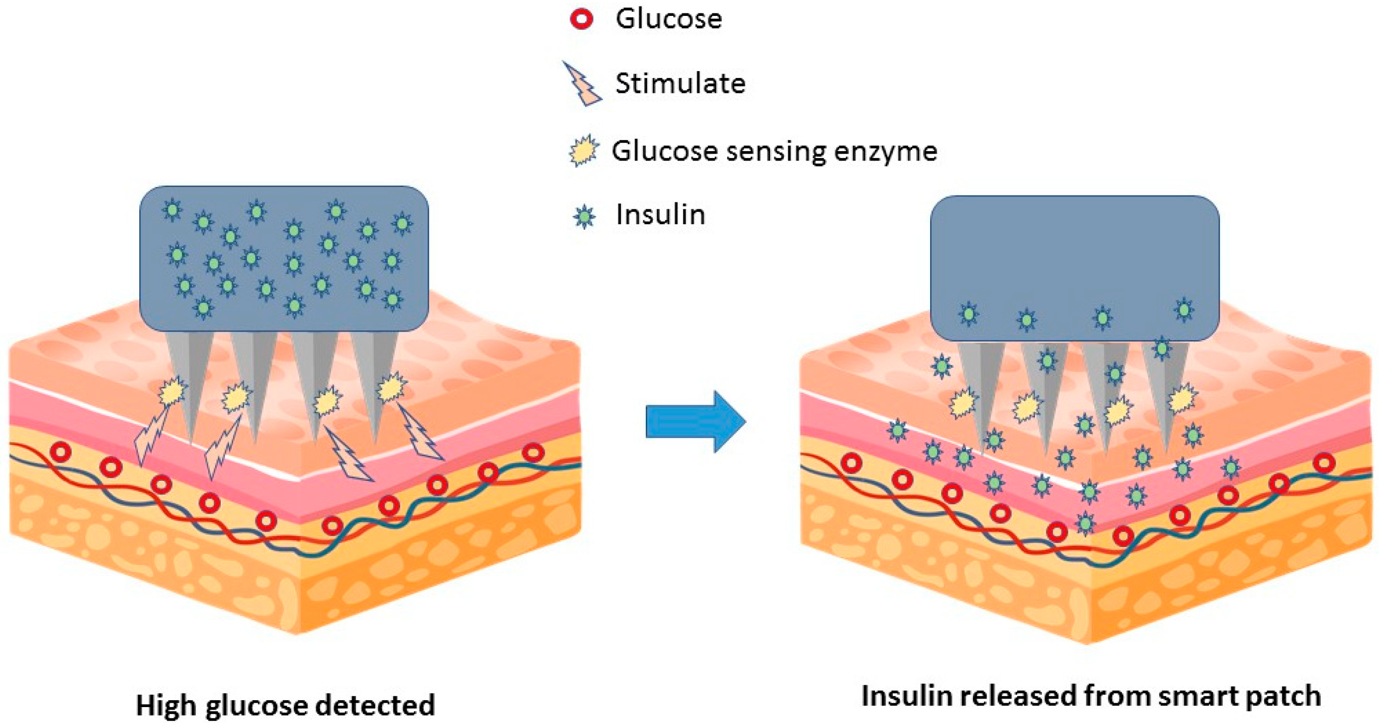 Medicina 59 00778 g004