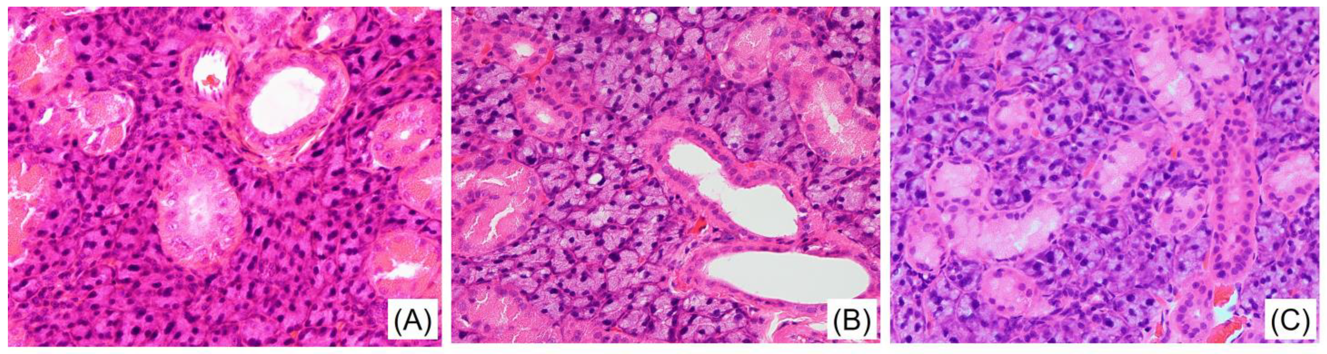 Medicina 59 00789 g003