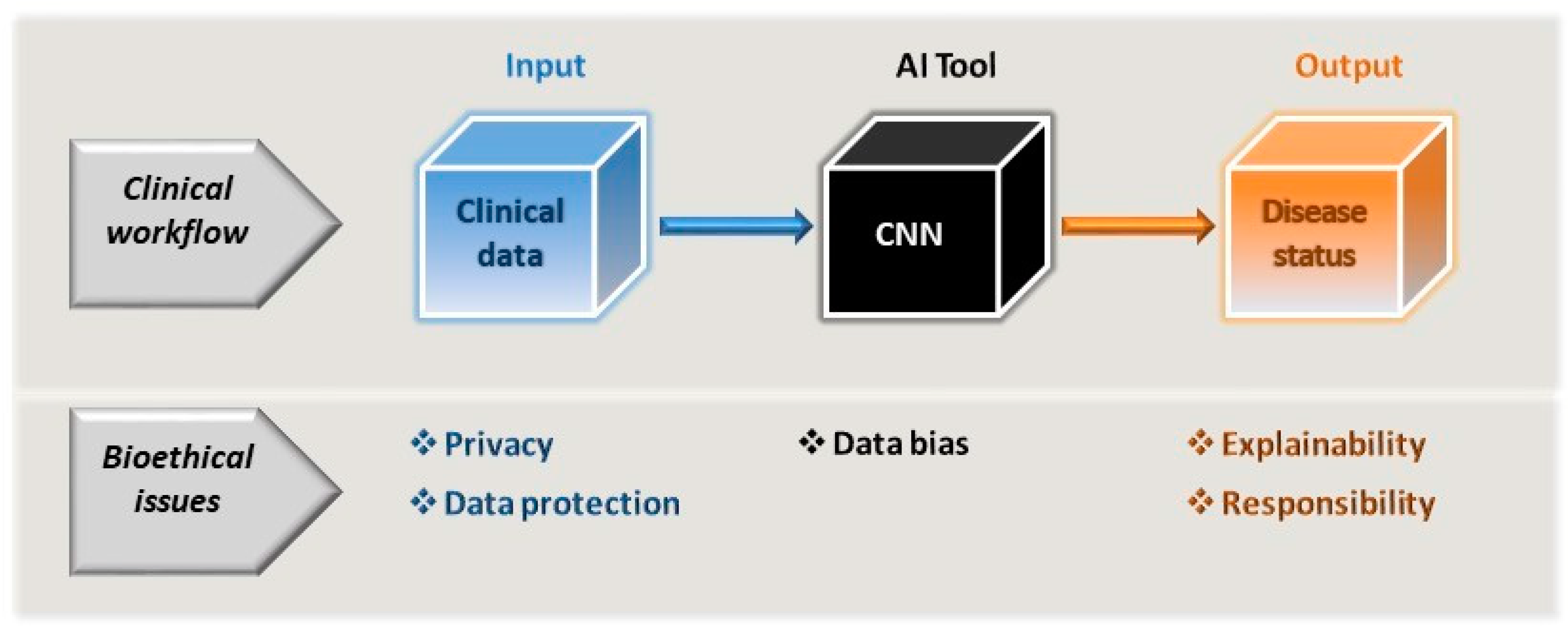 Medicina 59 00790 g002 Medicina 59 00790 g002
