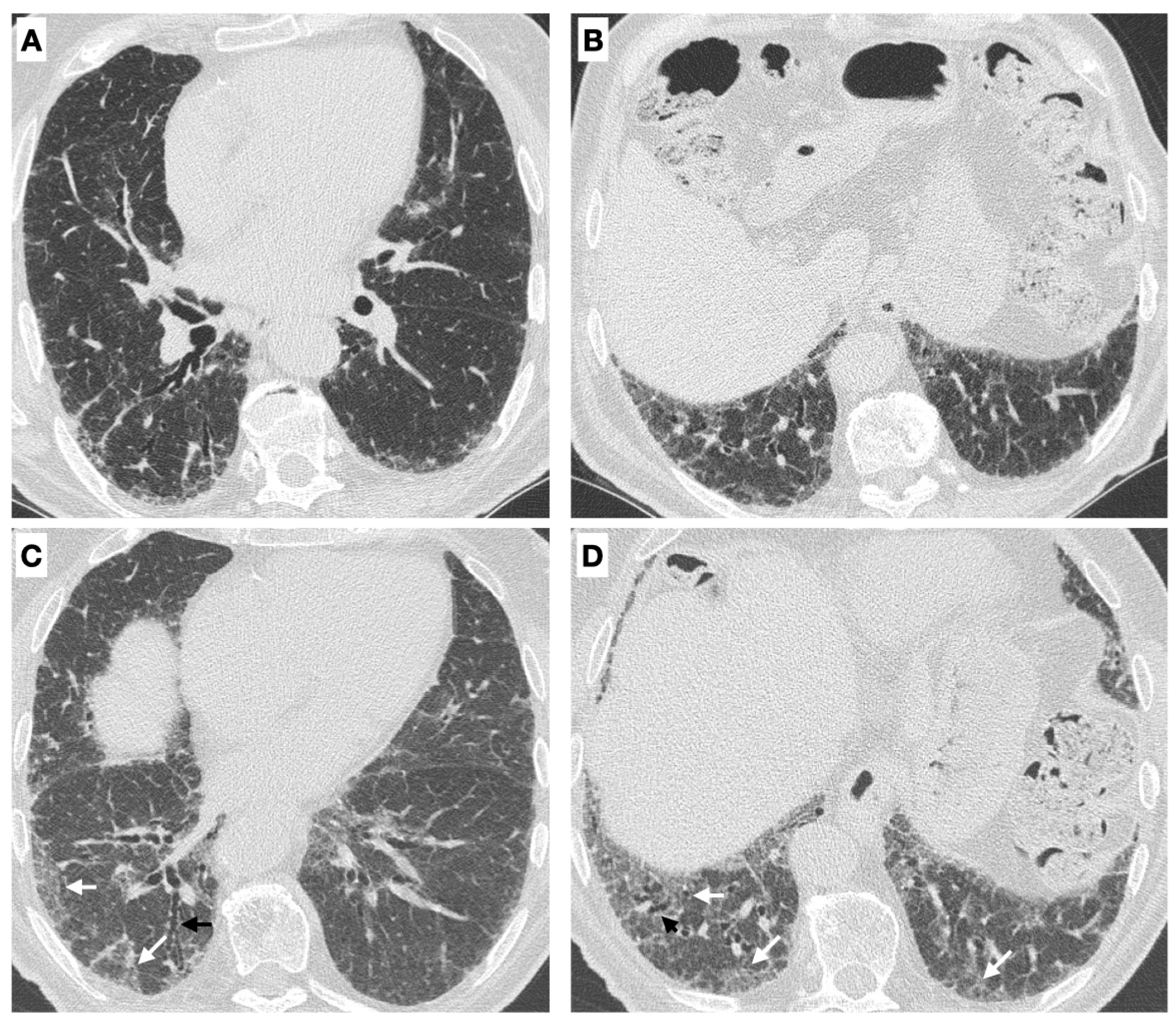 Medicina 59 00794 g002