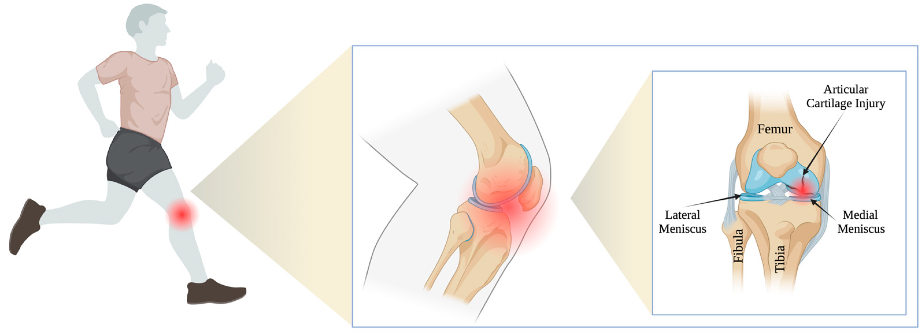 Medicina 59 00804 g001 Medicina 59 00804 g001