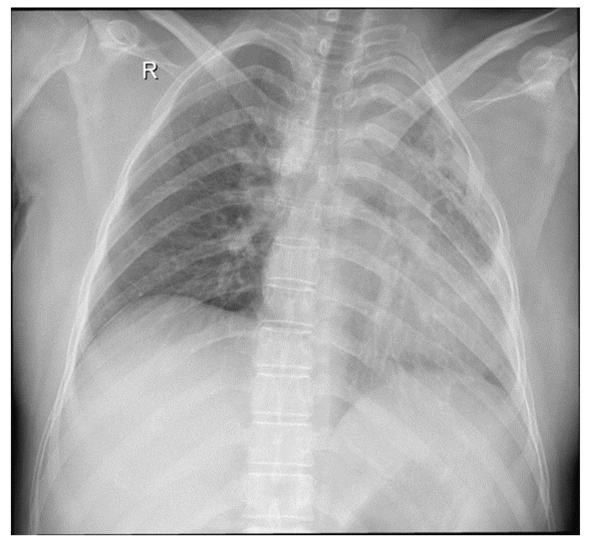 Medicina 59 00806 g001